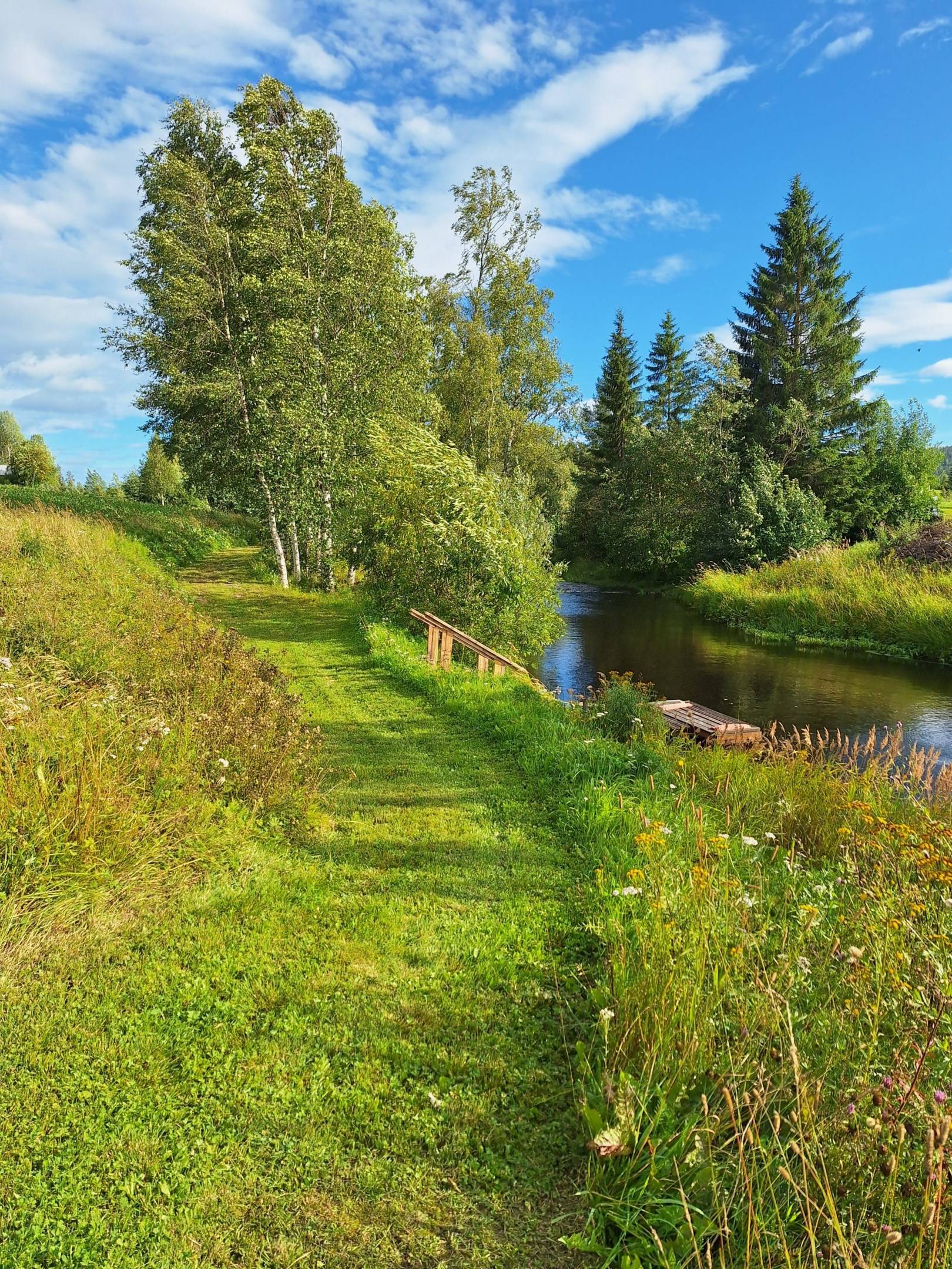 6 rum gård/skog på Näs 509 & 504 Ramvik, Härnösands kommun - bild 3
