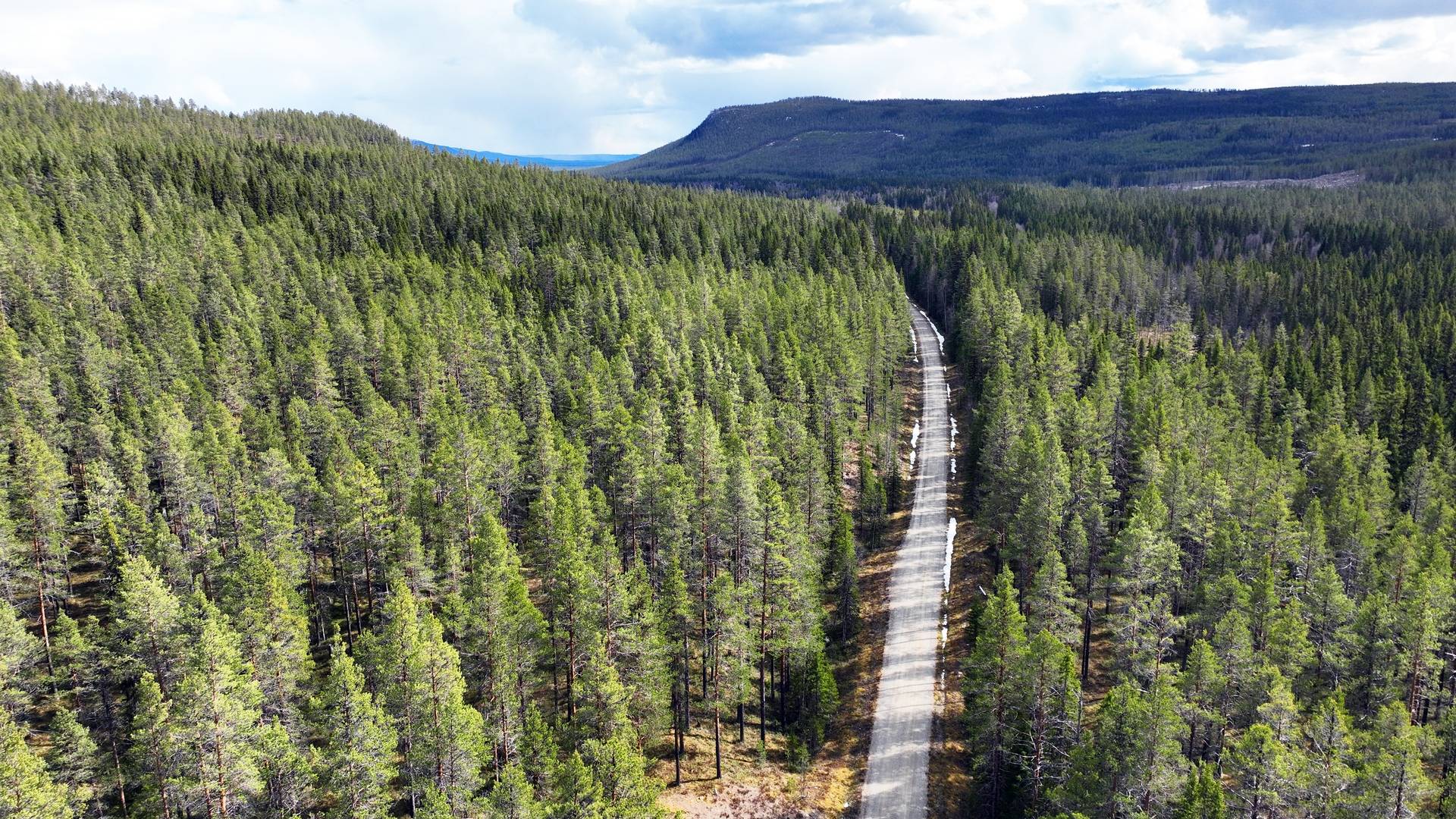 gård med skogsbruk på Vemdalen Vemdalen, Härjedalens kommun - bild 3