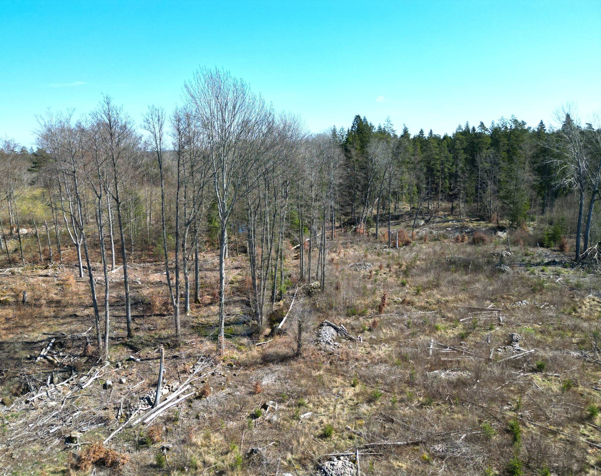 Gård med skogsbruk på Juanslycke, Torsås Torsås kommun - bild 5