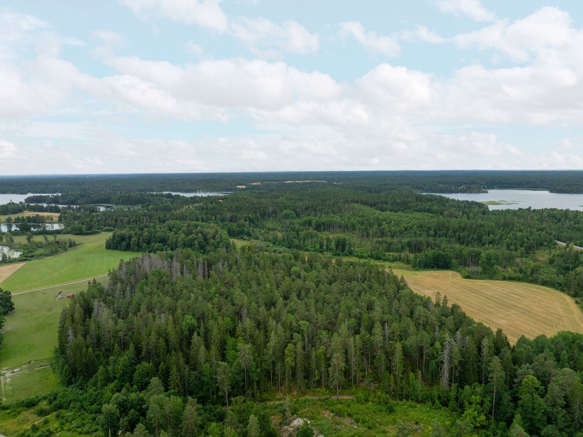 10 rum Gård/skog på Torsätra gård 1 Nykvarn Nykvarns kommun - bild 95