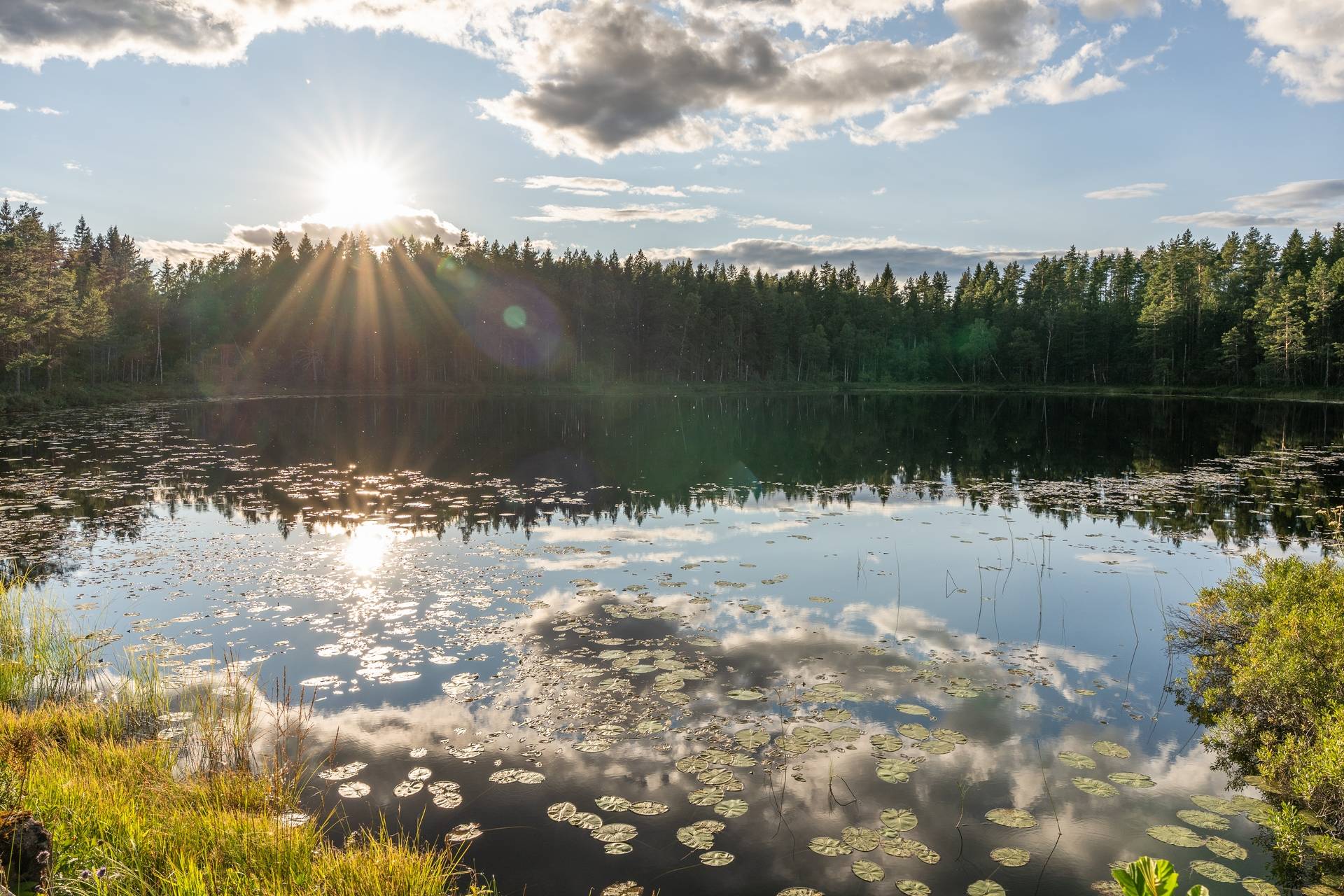 3 rum Fritidshus på Fjäll Skaterudstjärnet Dals Långed Bengtsfors kommun - bild 33