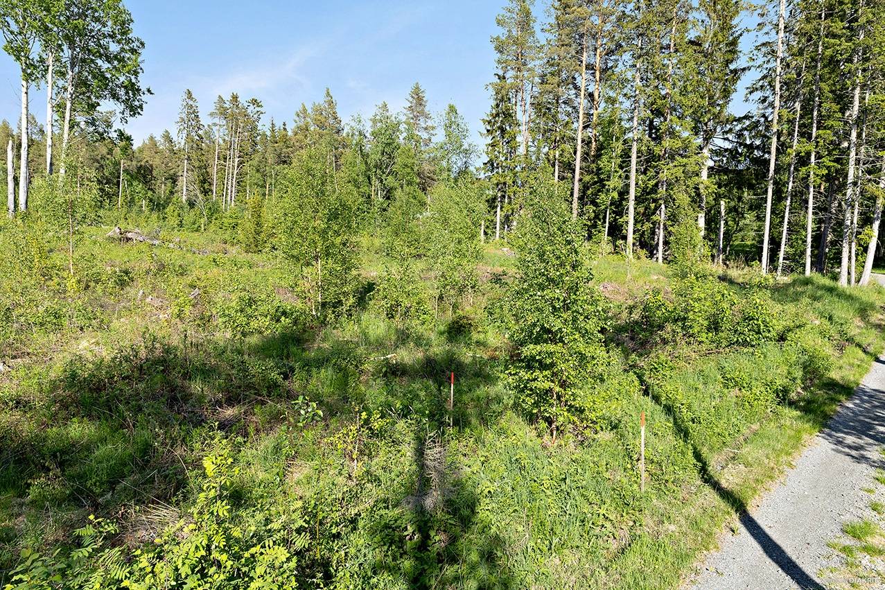tomt på Sunne-Gärde 2:53 Orrviken, Östersunds kommun - bild 4