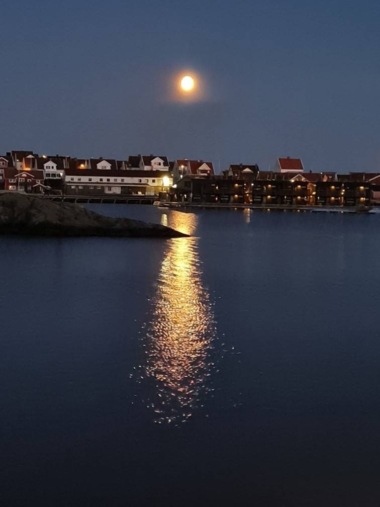3 rum Lägenhet på Amazonkajen 3 B, lgh B1002 Mossholmen Tjörns kommun - bild 22