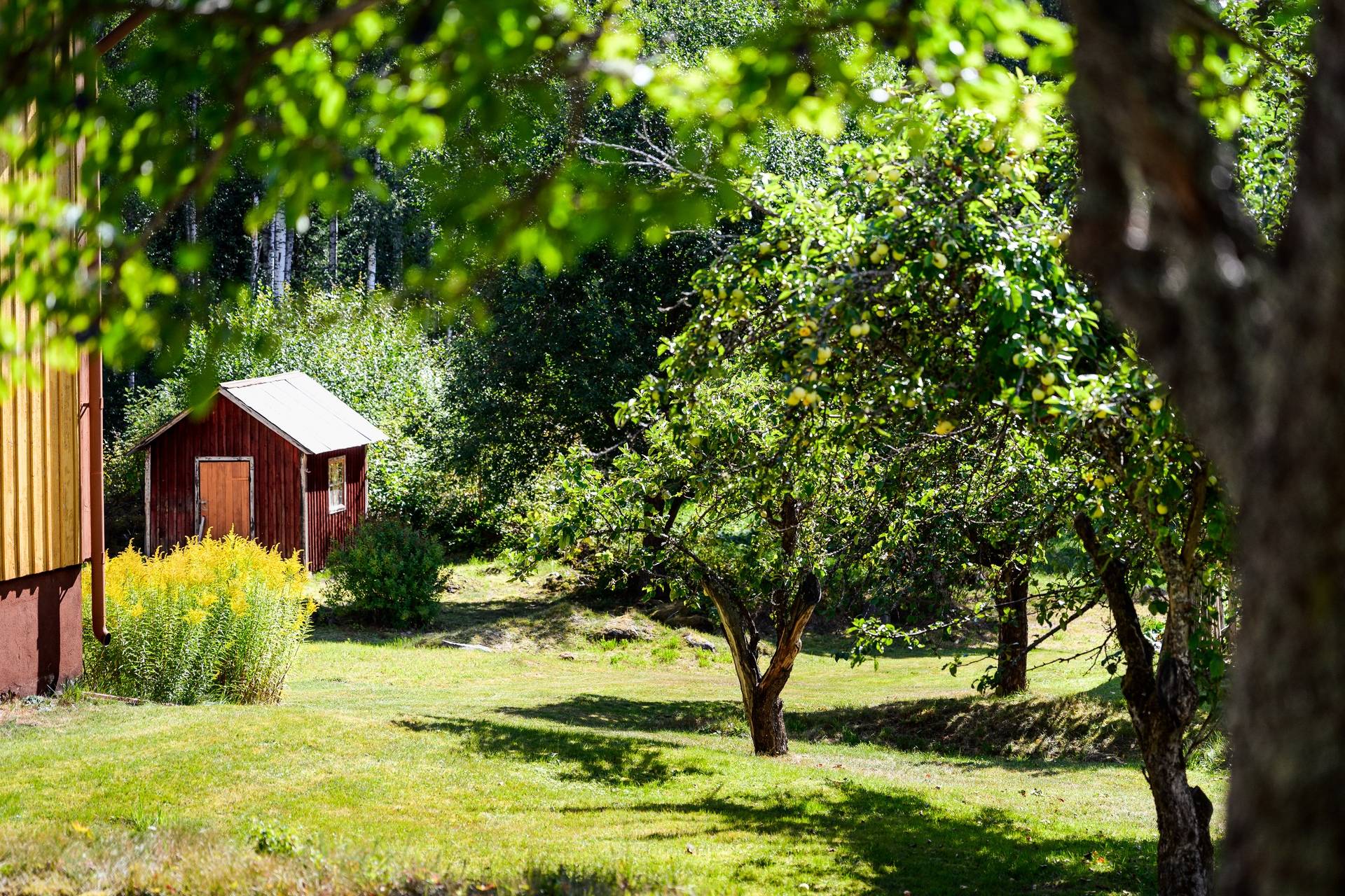 5 rum Villa på Harmsarvsvägen 74 Grycksbo Falu kommun - bild 6