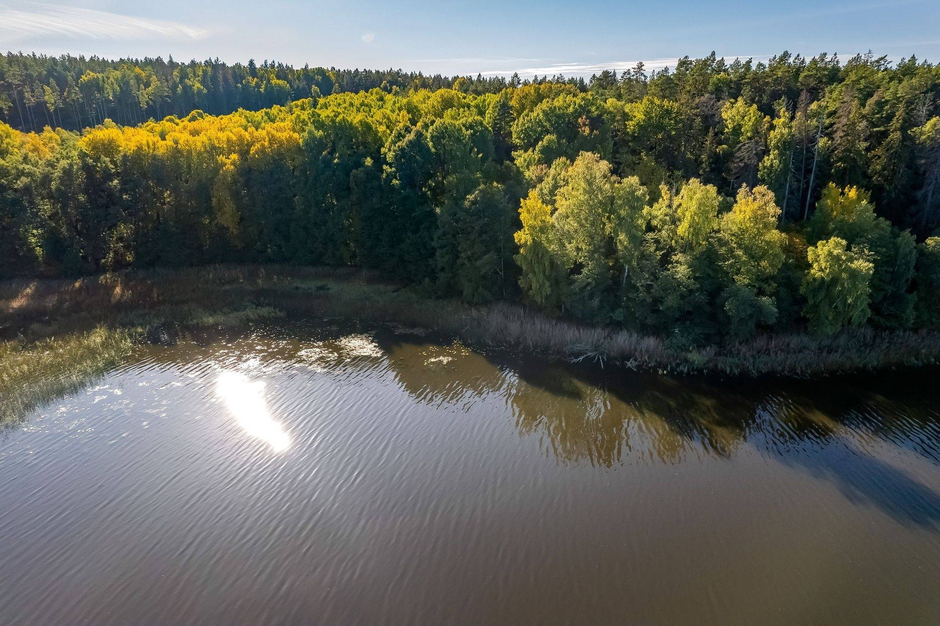 4 rum Gård med skogsbruk på Småsjöga Lilla Svarvarbacken Eskilstuna Eskilstuna kommun - bild 42