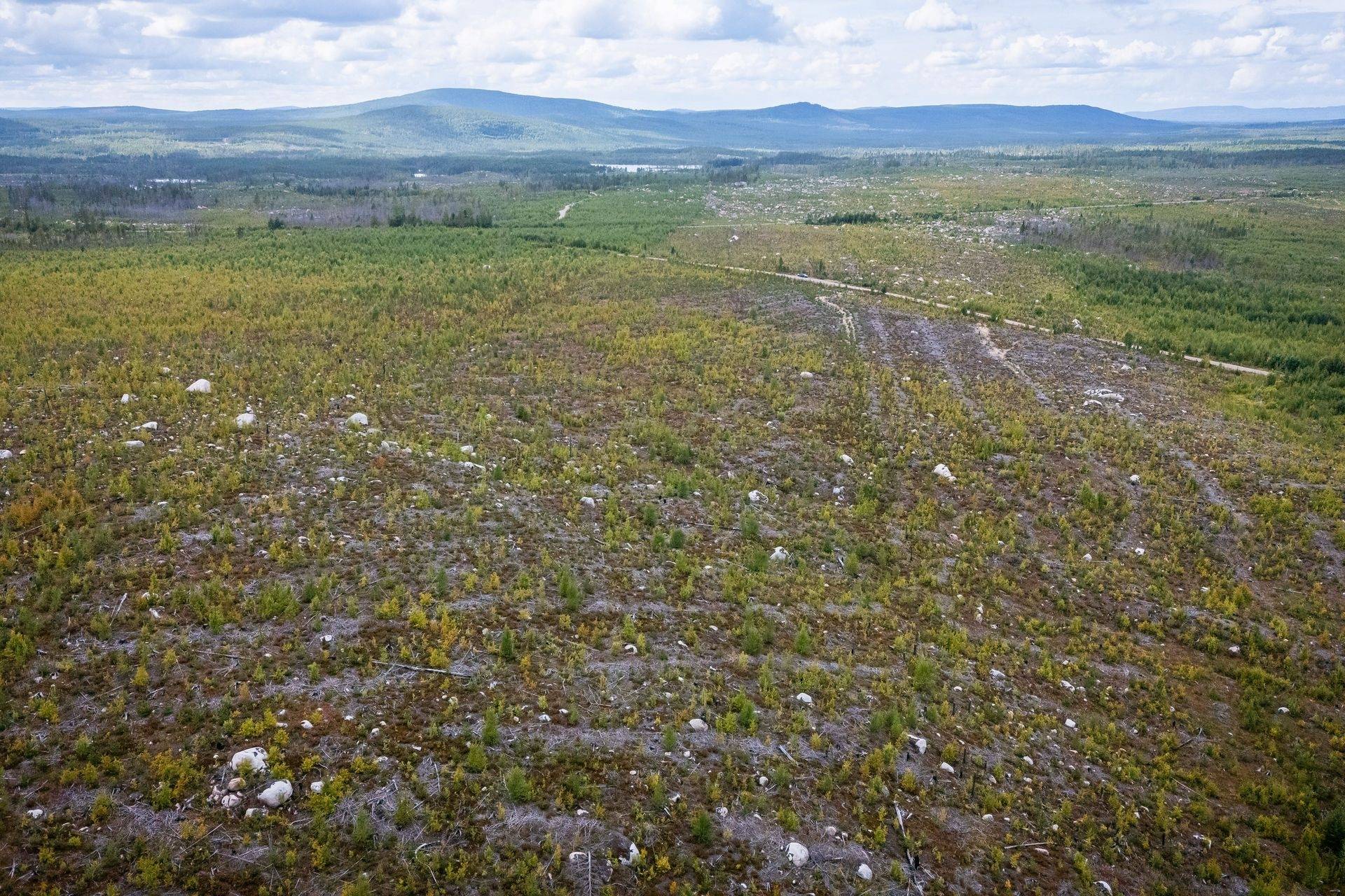 Gård/skog på LJUSDAL KÅRBÖLE 6:1 Ljusdals kommun - bild 18