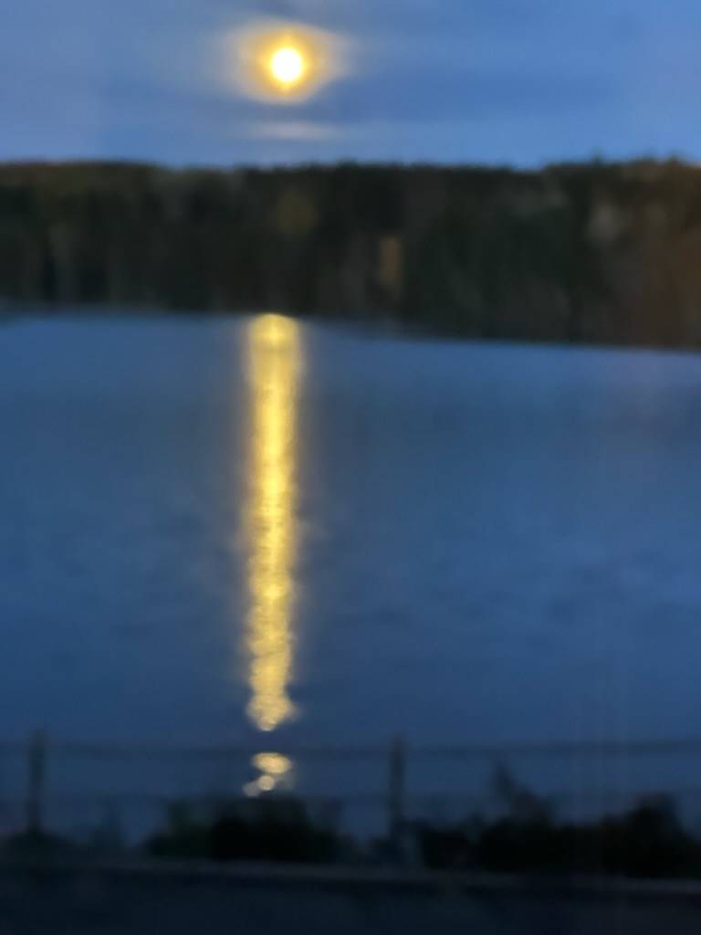 Villa på Sundet 110 Sundet Ljusnarsbergs kommun - bild 69