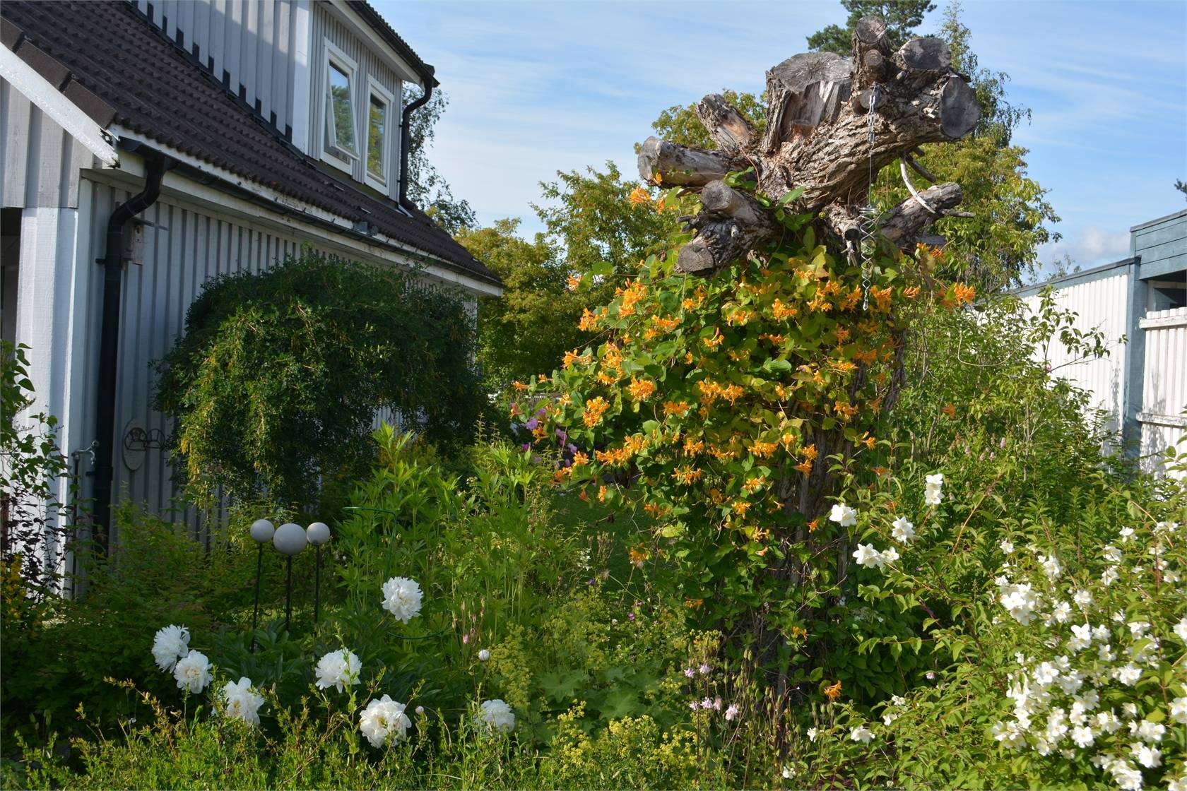 5 rum Villa på Basvägen 4 Bergeforsen Timrå kommun - bild 39