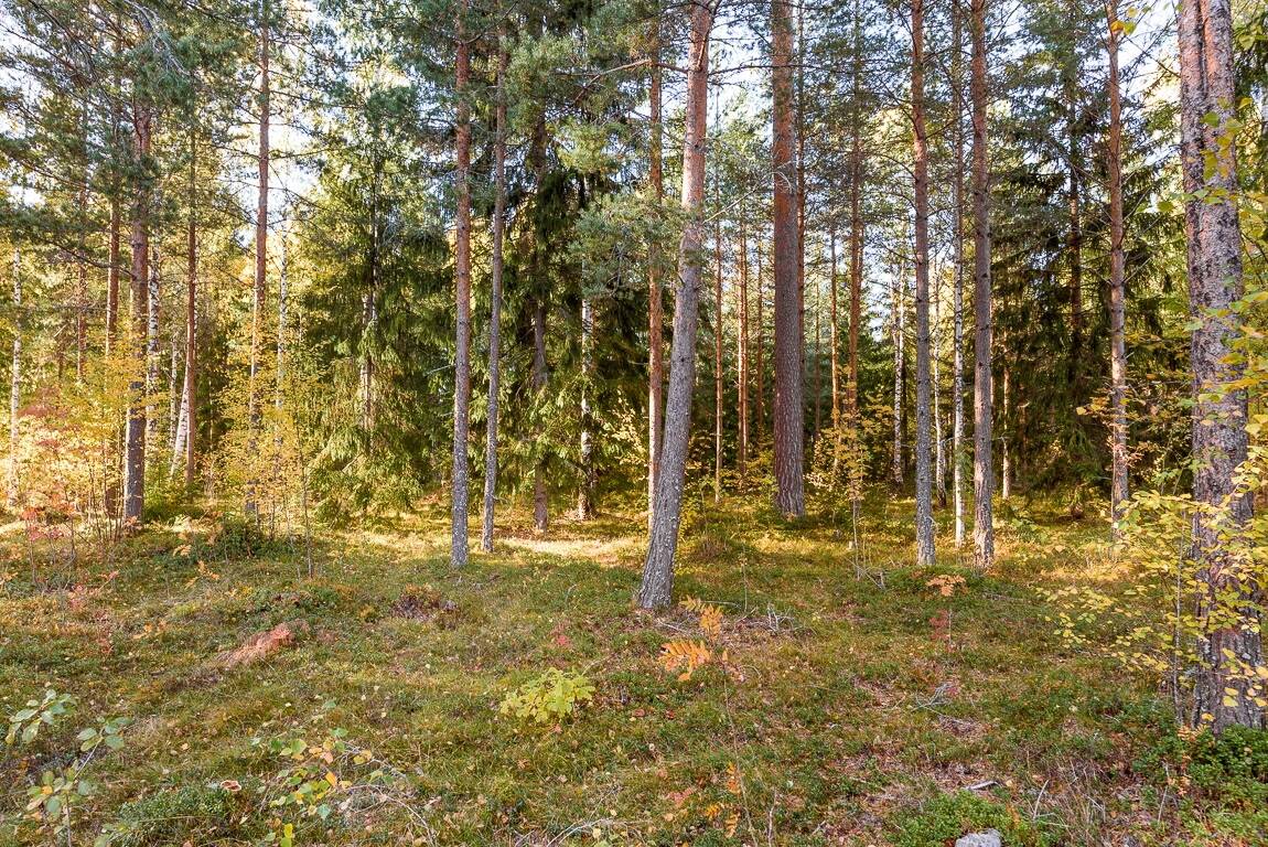 6 rum Villa på Domherrestigen 5 Övre Tjärna Borlänge kommun - bild 8