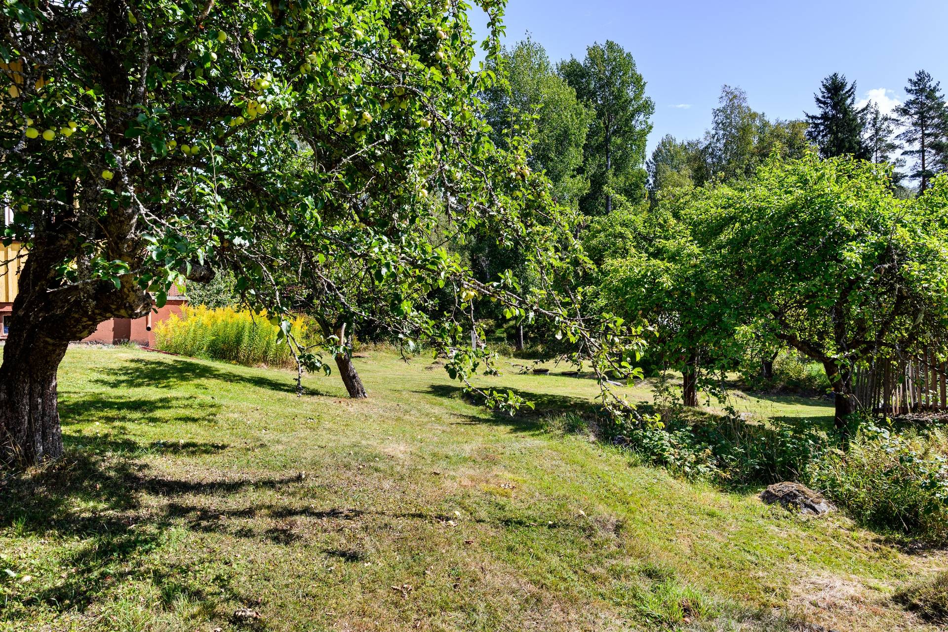 5 rum Villa på Harmsarvsvägen 74 Grycksbo Falu kommun - bild 37