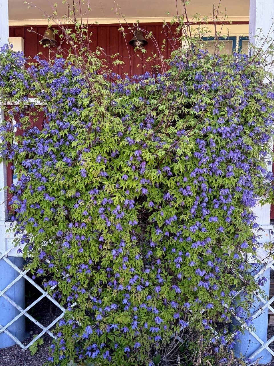 5 rum Villa på Sturängsgattu 9 Tällberg Leksands kommun - bild 69