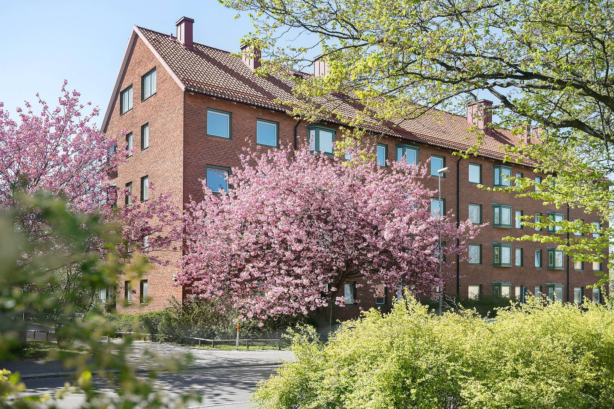 1 rum Lägenhet på Sofiavägen 5A Lunds kommun - bild 22