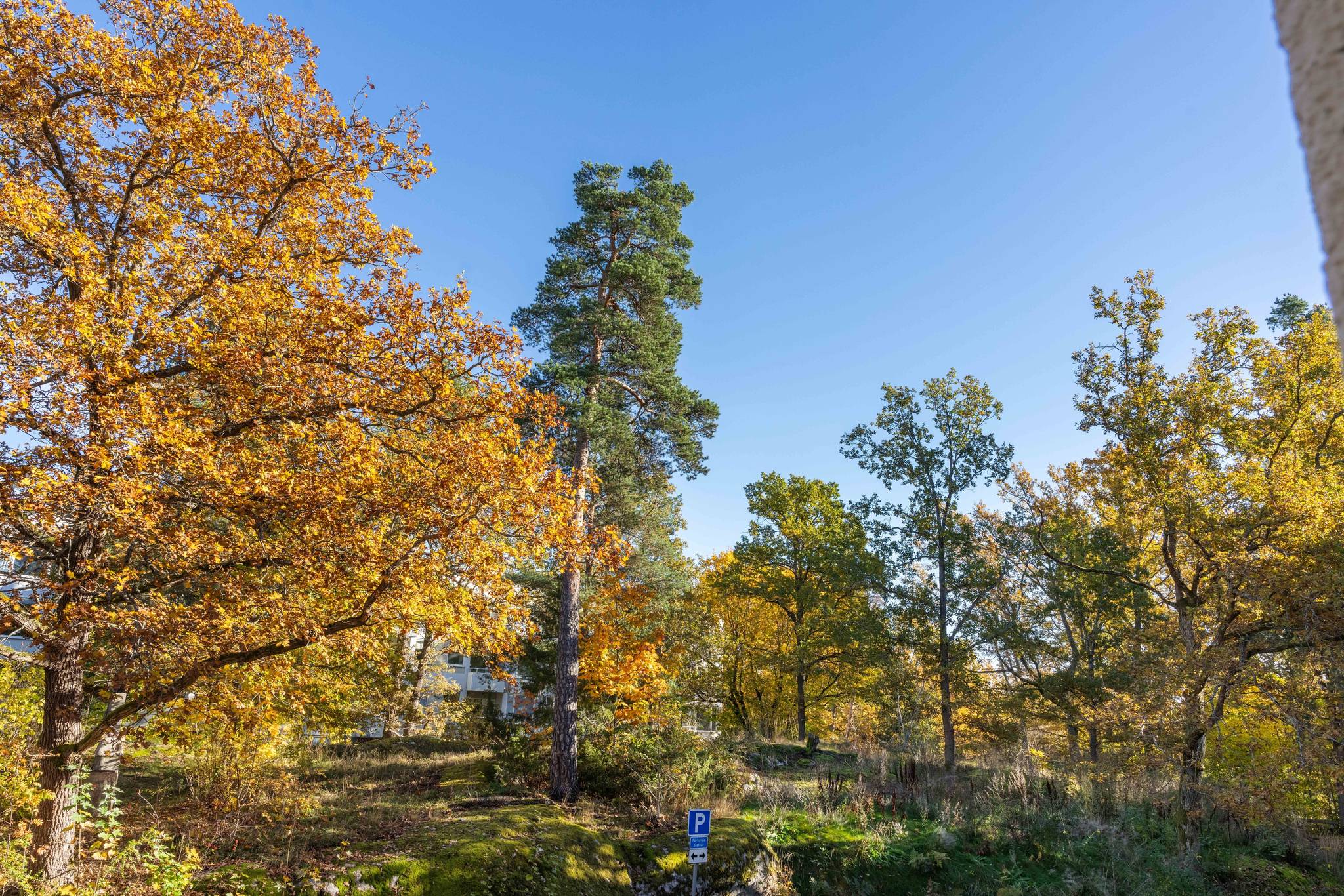1 rum Lägenhet på Olshammarsgatan 81 ormkärr Stockholms kommun - bild 40