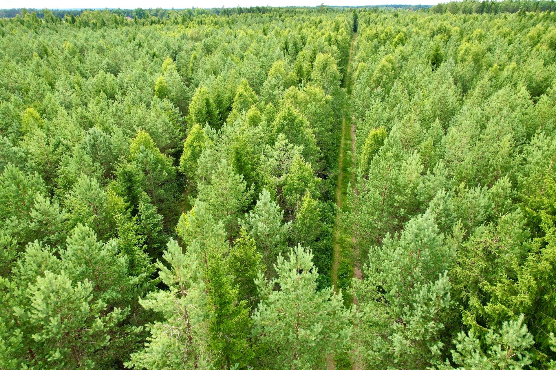 4 rum Gård med skogsbruk på Tåtorp Västra Sjötorp 14 Moholm Töreboda kommun - bild 68