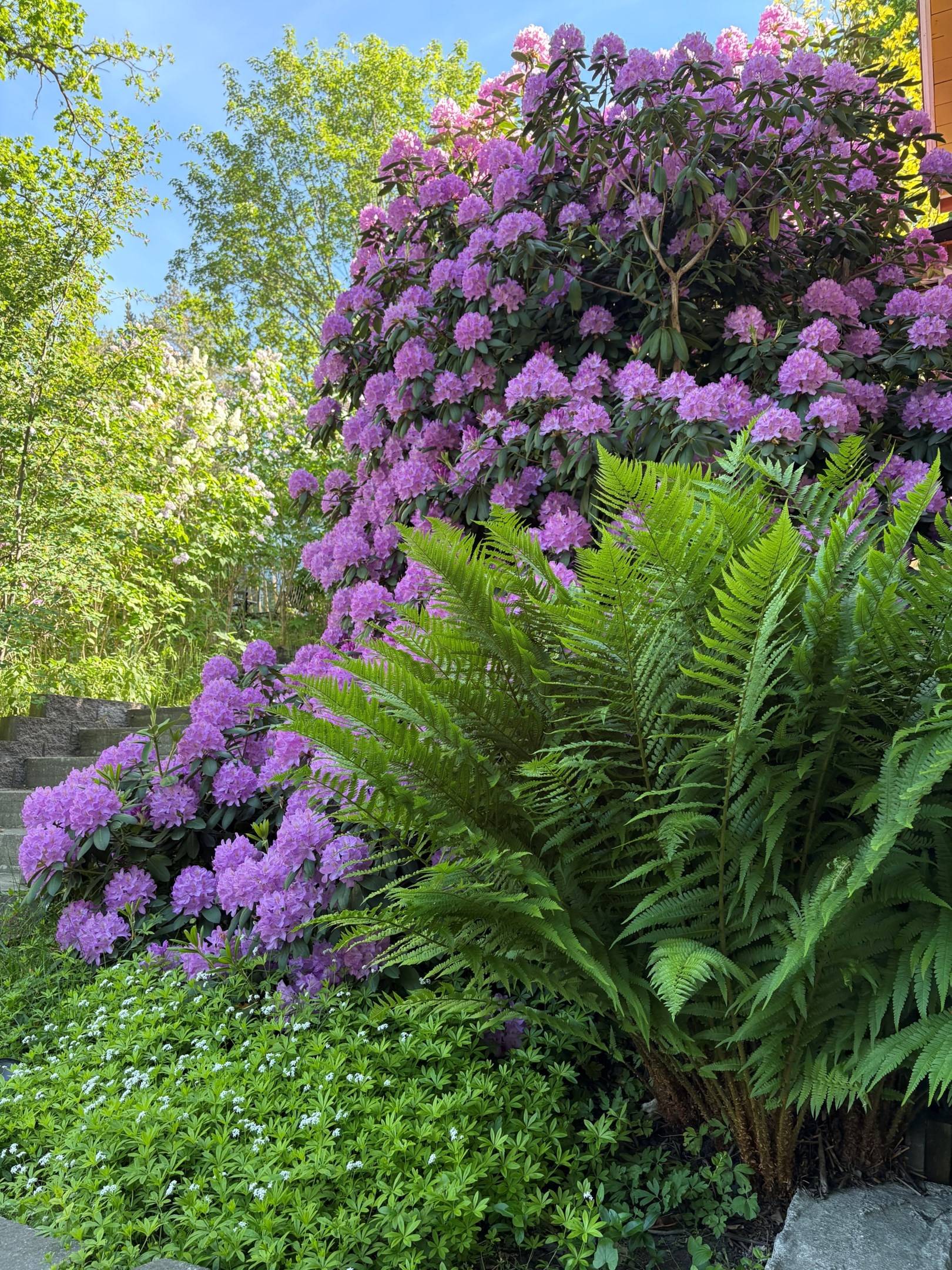 5 rum Villa på Blommensbergsvägen 101 Aspudden Stockholms kommun - bild 46