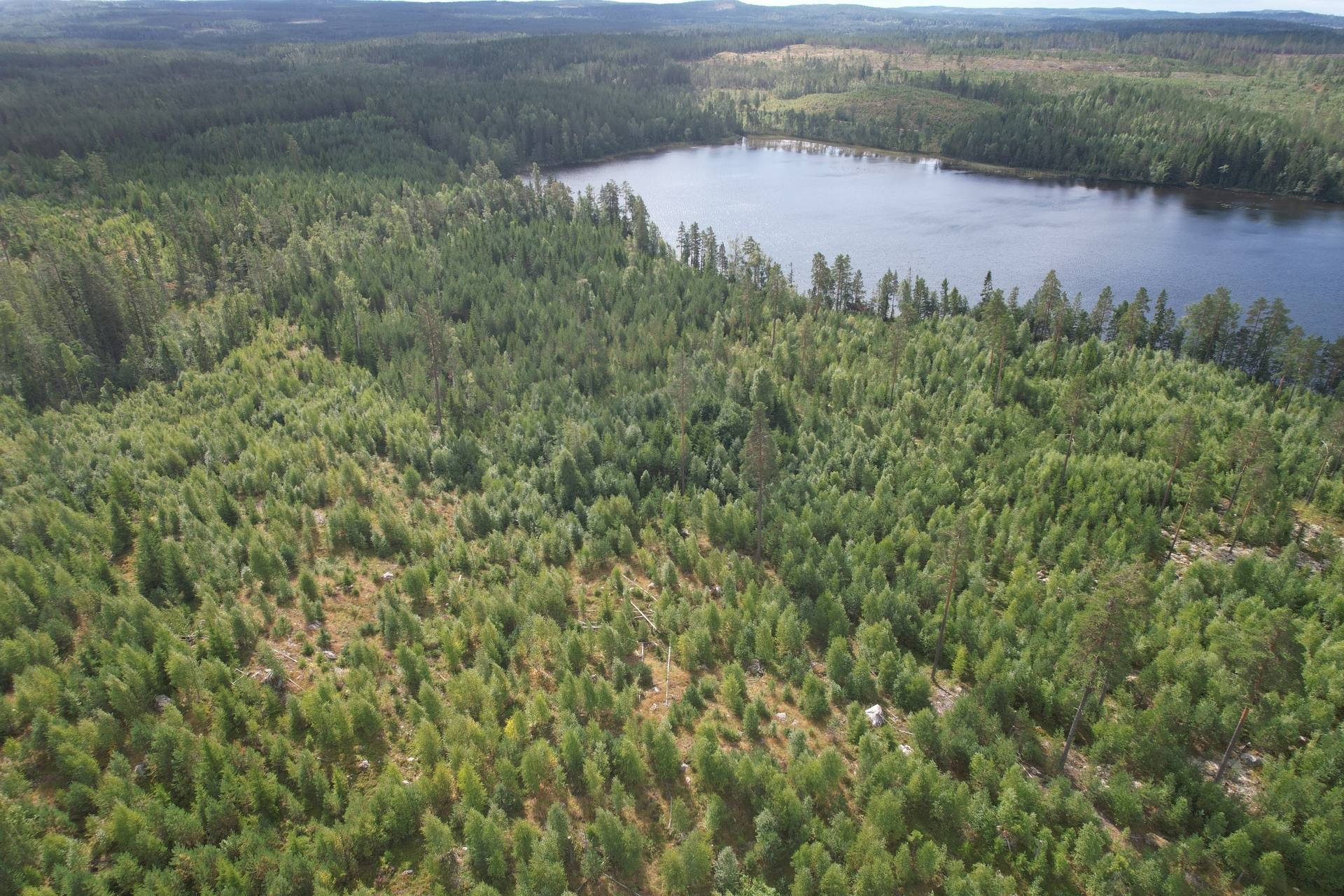 Gård med skogsbruk på Bispbergshyttan & Bosjön Säters kommun - bild 2