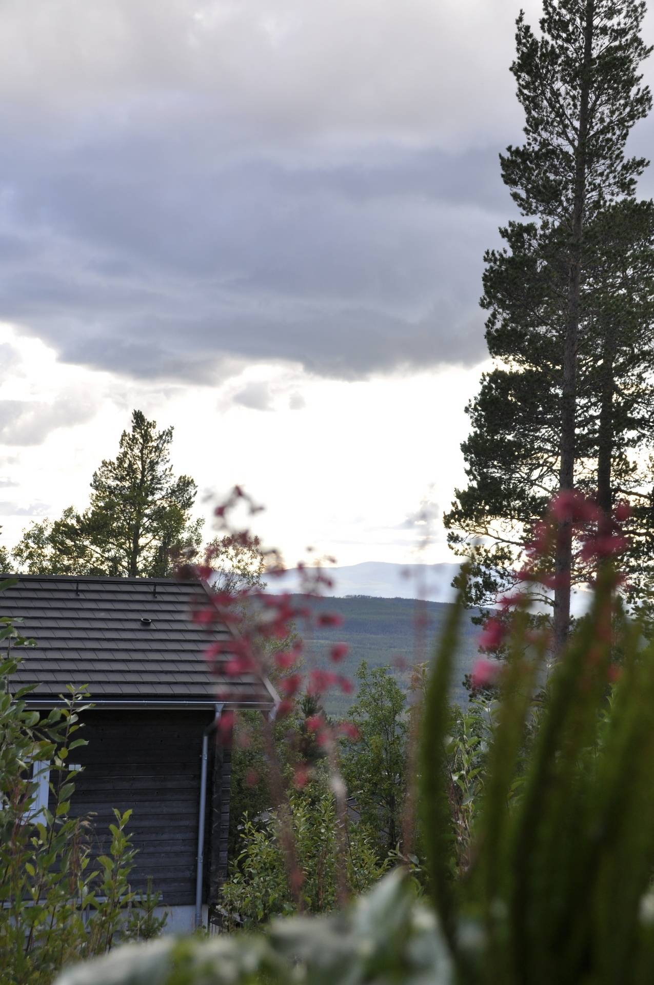 2 rum Lägenhet på Björnrike Tallstigen 20C Björnrike - Vemdalen Härjedalens kommun - bild 20