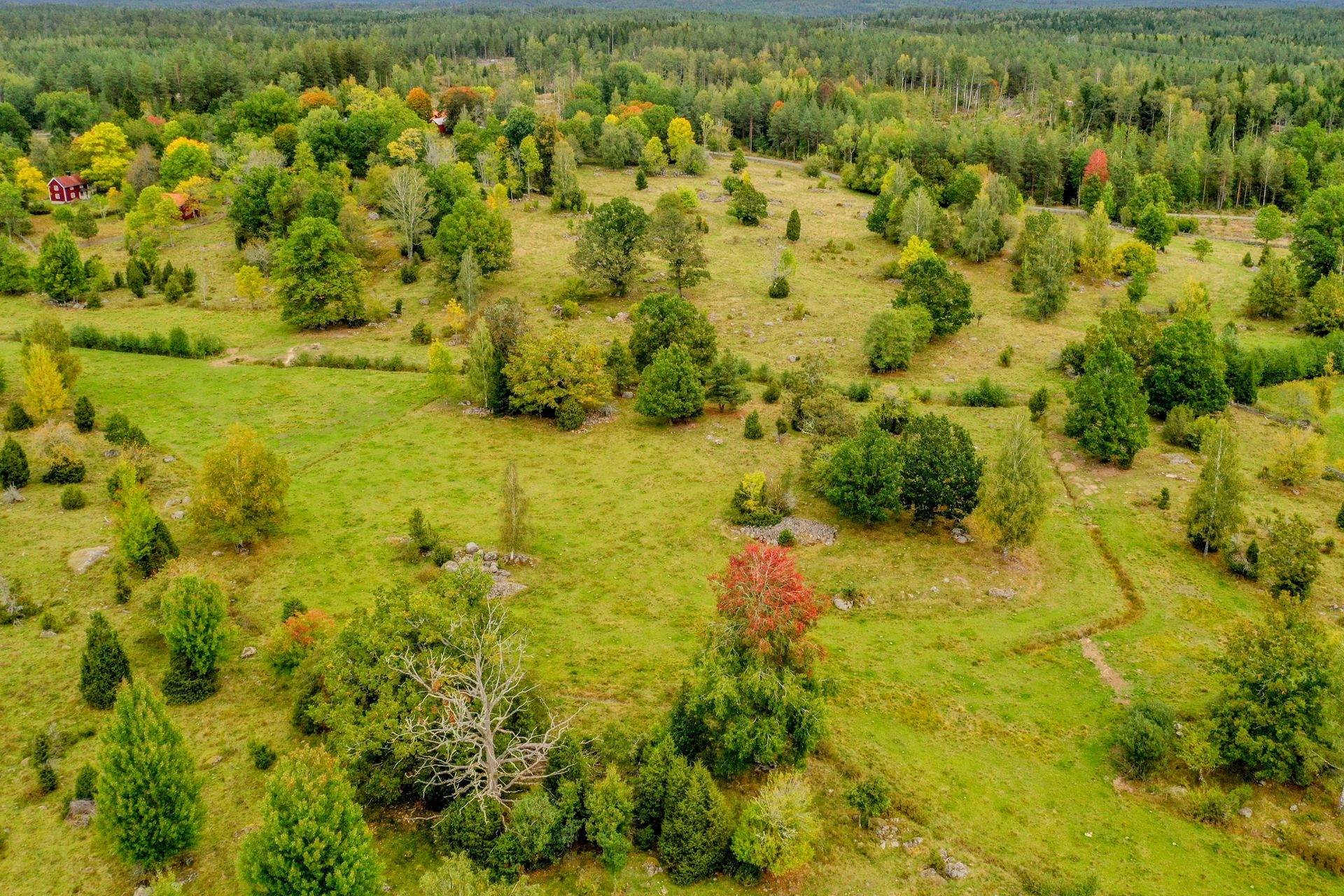 4 rum Gård/skog på Stormandebo Koltorp Västervik/Vimmerby Västerviks kommun - bild 39