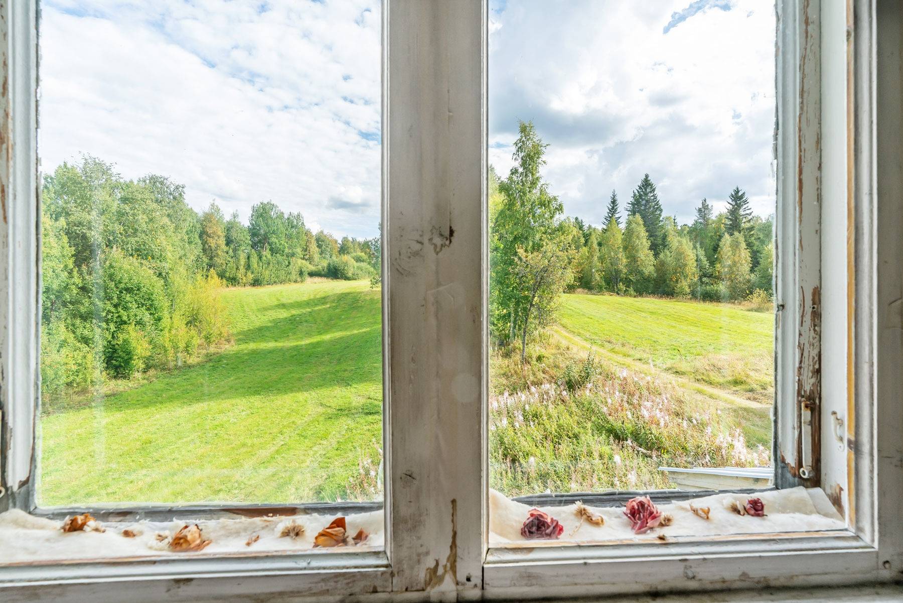 Gård med skogsbruk på Skog och gård i Särna Älvdalens kommun - bild 14
