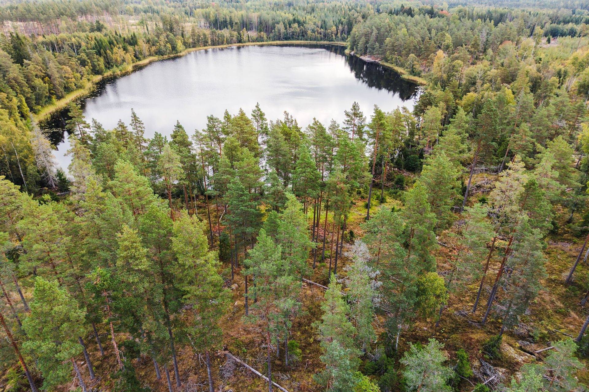 Edsbro, Norrtälje kommun
