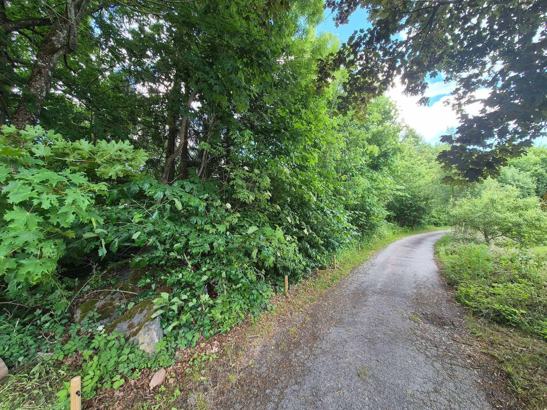 Villa på Norra Fogdarödsvägen 9 Höörs kommun - bild 9