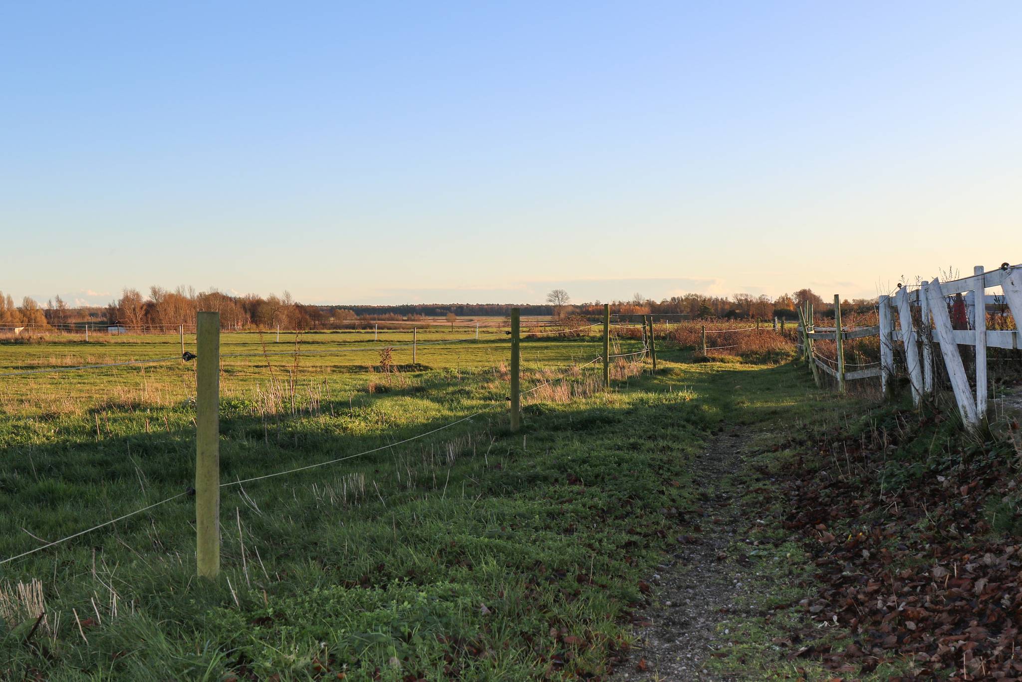 10 rum Gård/skog på Bostället i Stora Herrestad, Mensalvägen 109 Stora Herrestad Ystads kommun - bild 24