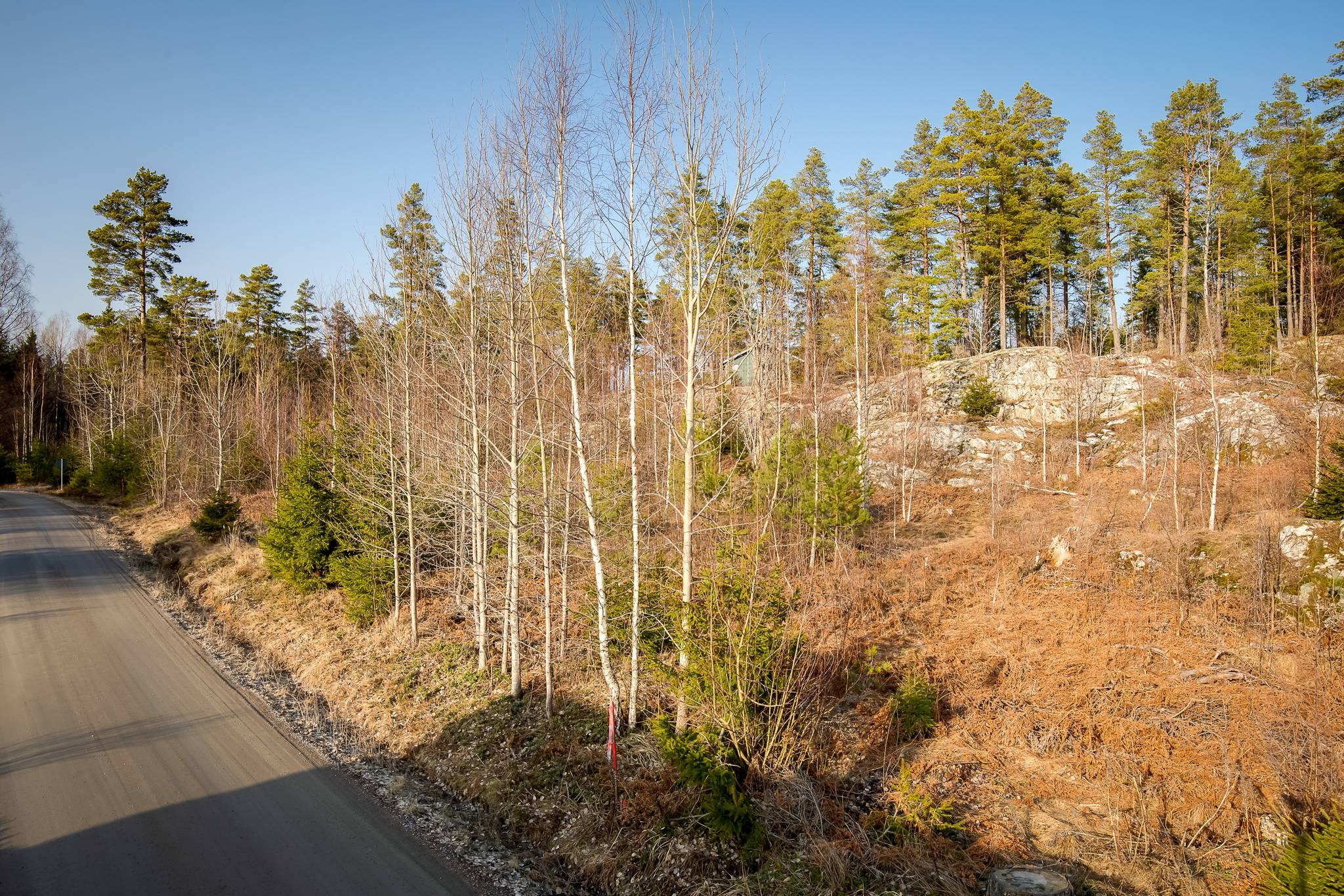 Tomt på Tomt Lämmetorp 5:16 Lämmetorp Finspångs kommun - bild 3