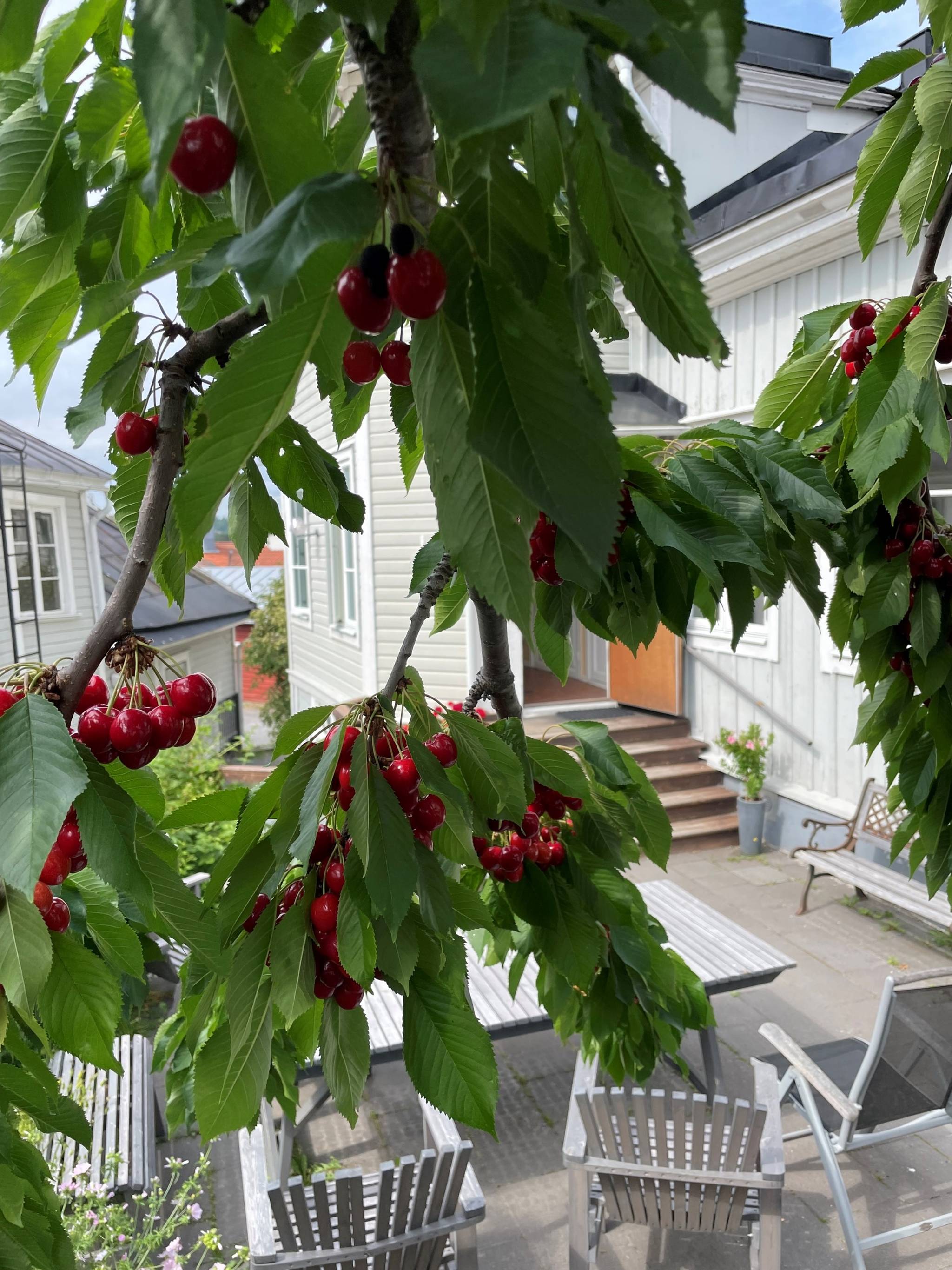 8 rum Villa på Franzéngatan 10 Centrum Härnösands kommun - bild 57