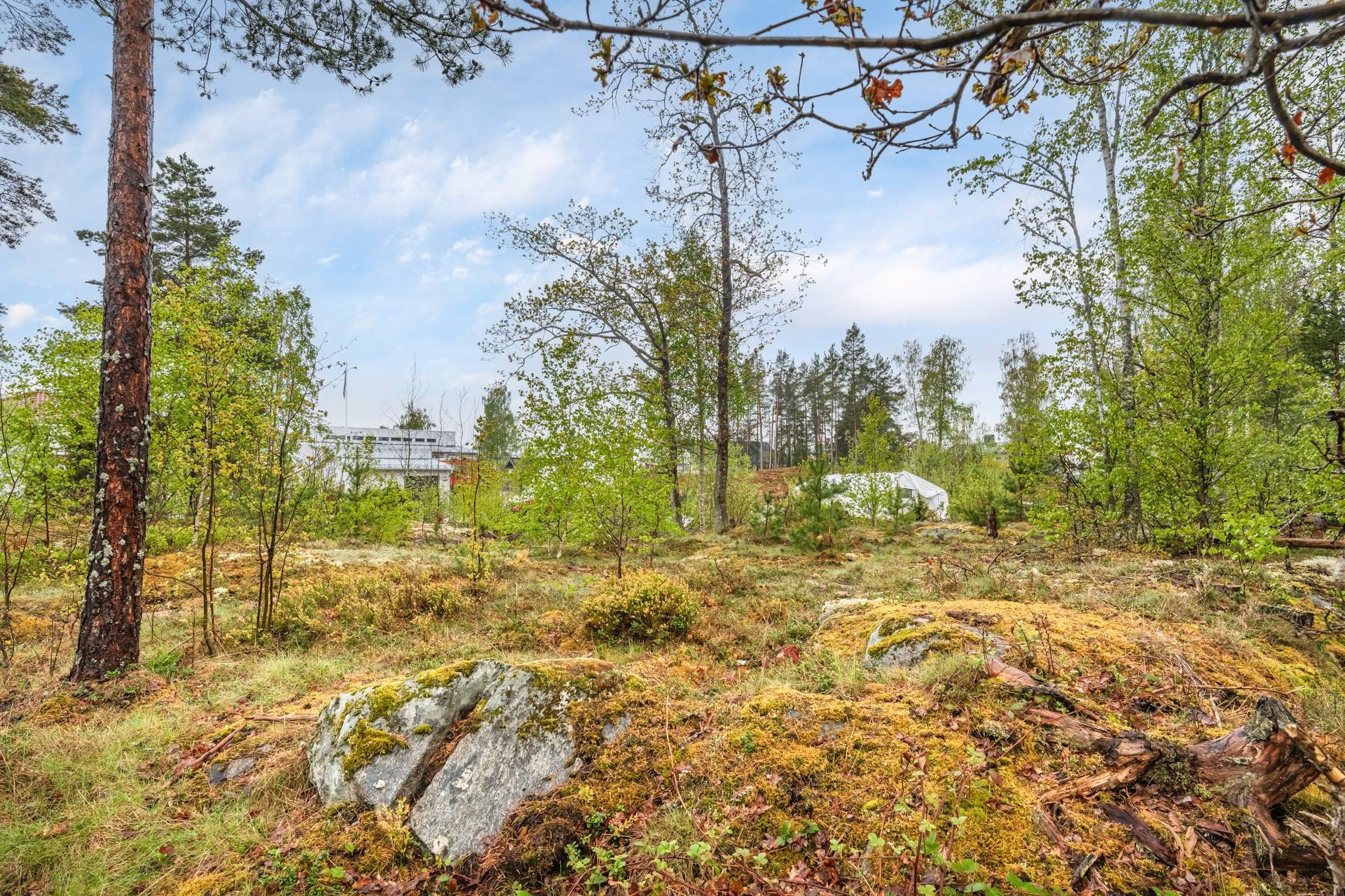 Tomt på Norsundsvägen 26A Svavelsö Österåkers kommun - bild 6