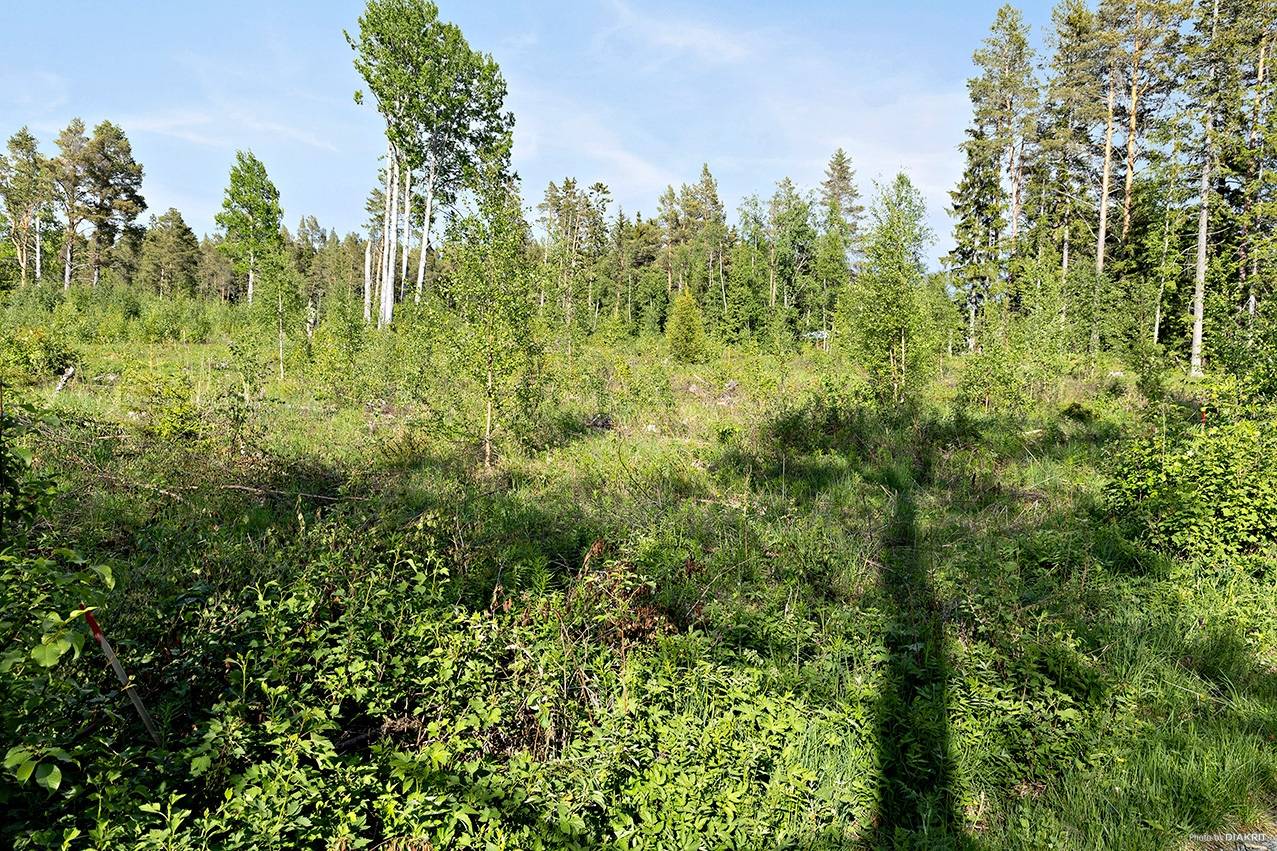 tomt på Sunne-Gärde 2:53 Orrviken, Östersunds kommun - bild 5