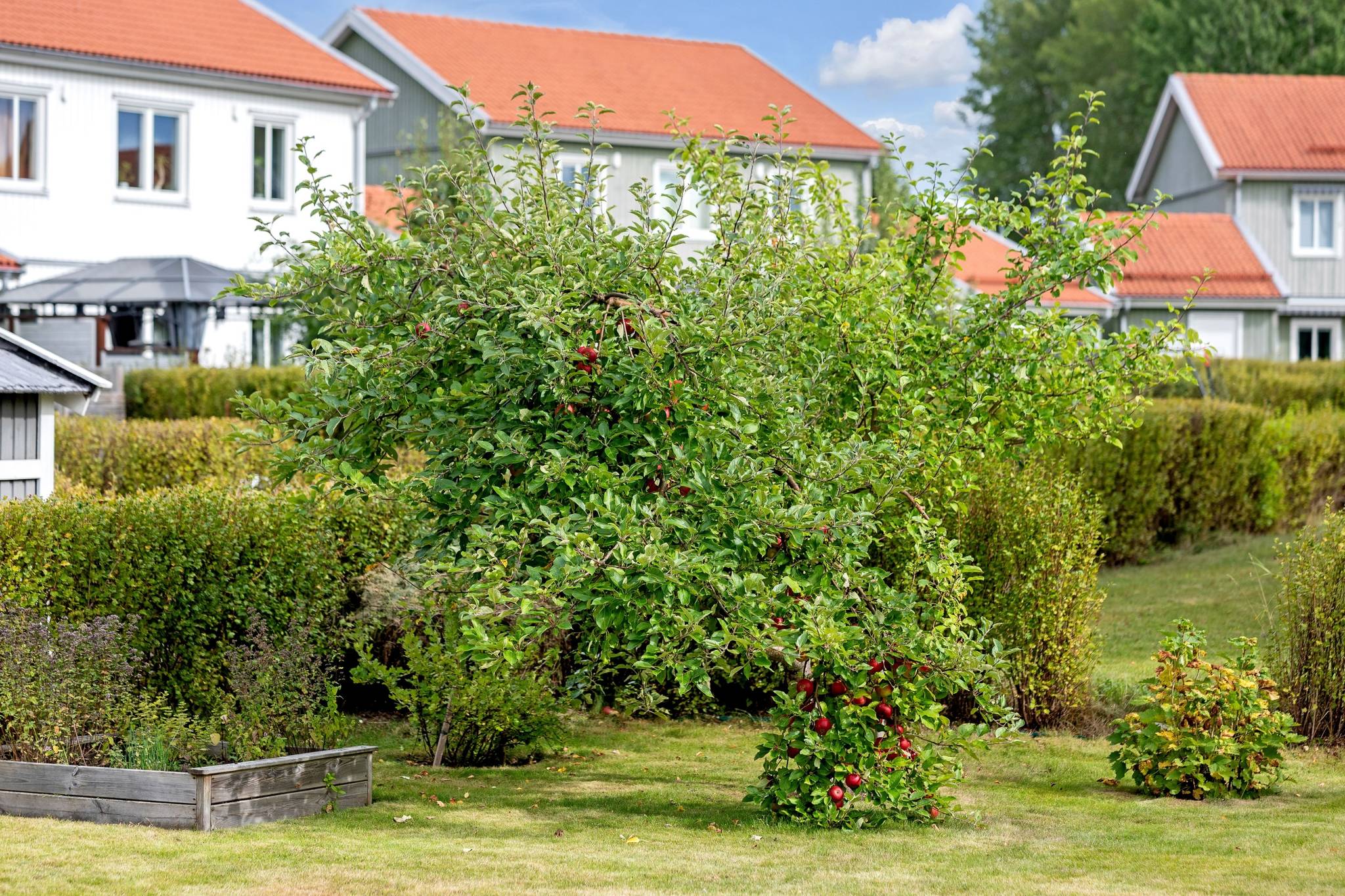 5 rum Villa på Timotejvägen 15 Lövstalöt Uppsala kommun - bild 9
