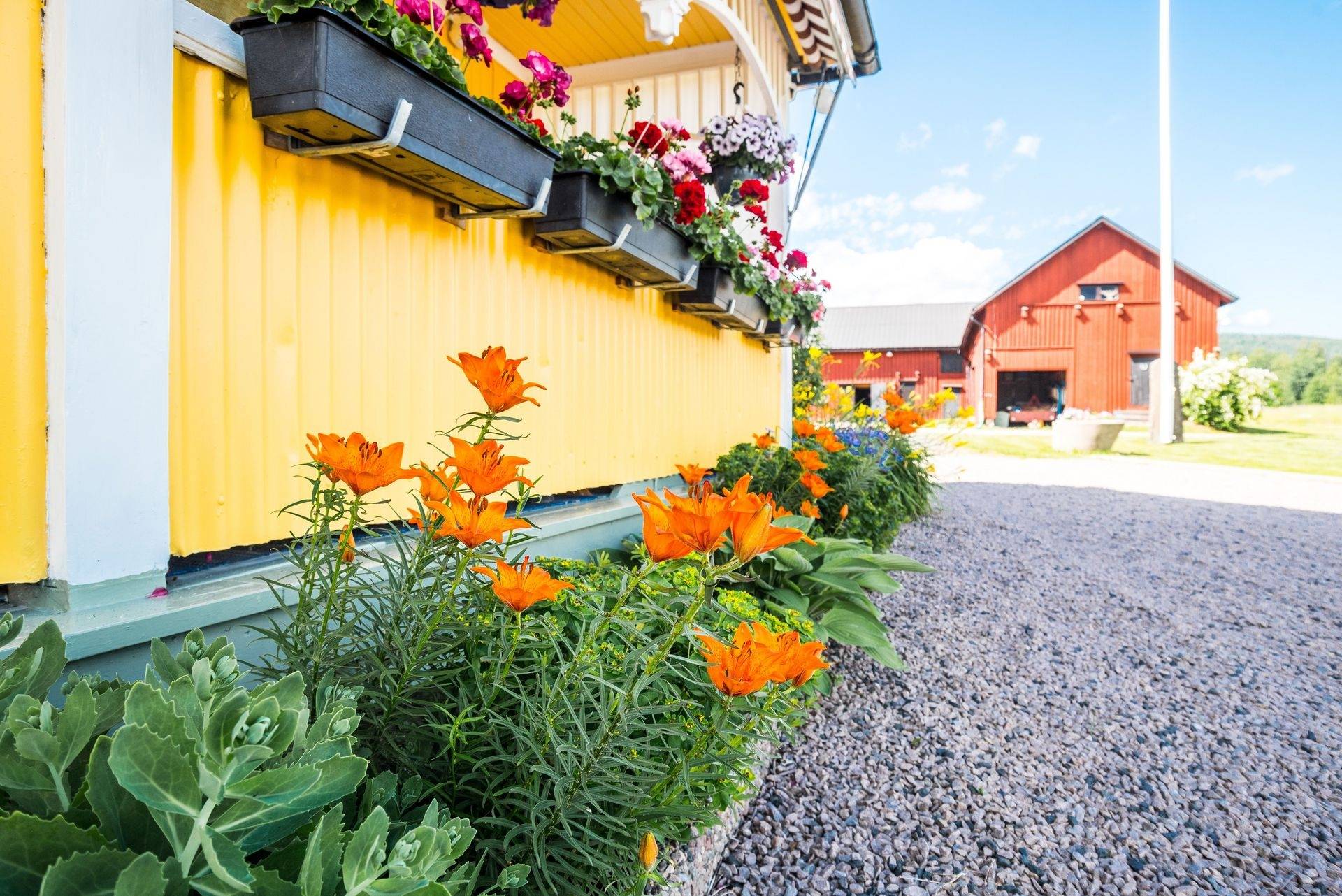 8 rum Gård med jordbruk på Graneviksvägen 114 - "Fridhem" Torsby Torsby kommun - bild 70
