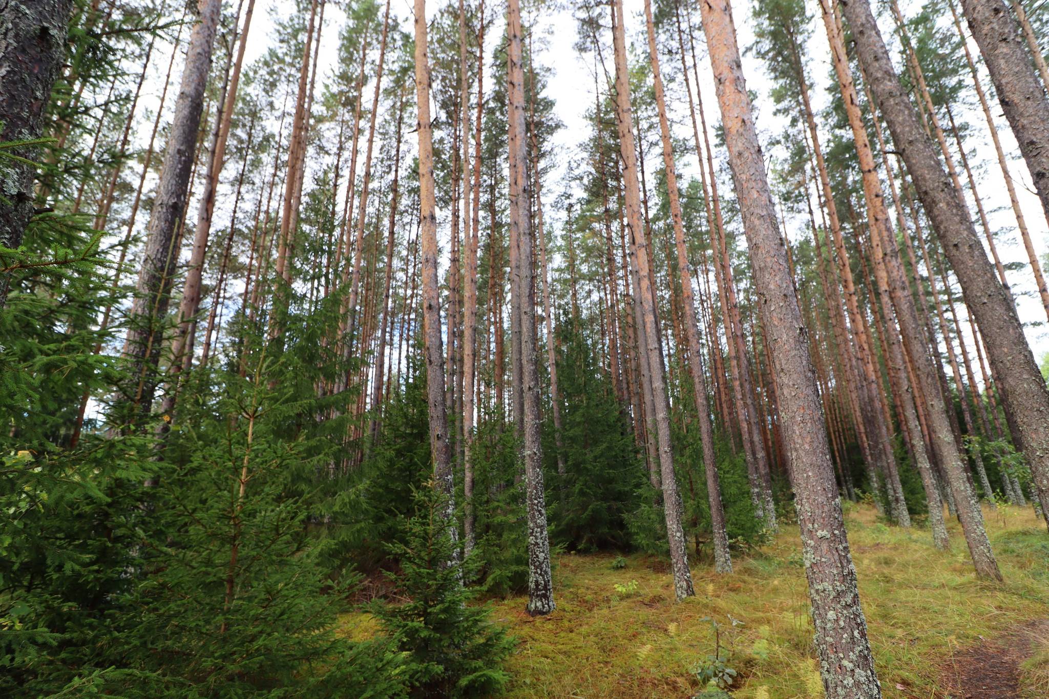 2 rum Gård/skog på Haglundavägen 17 Gottröra - Haglunda Norrtälje kommun - bild 4