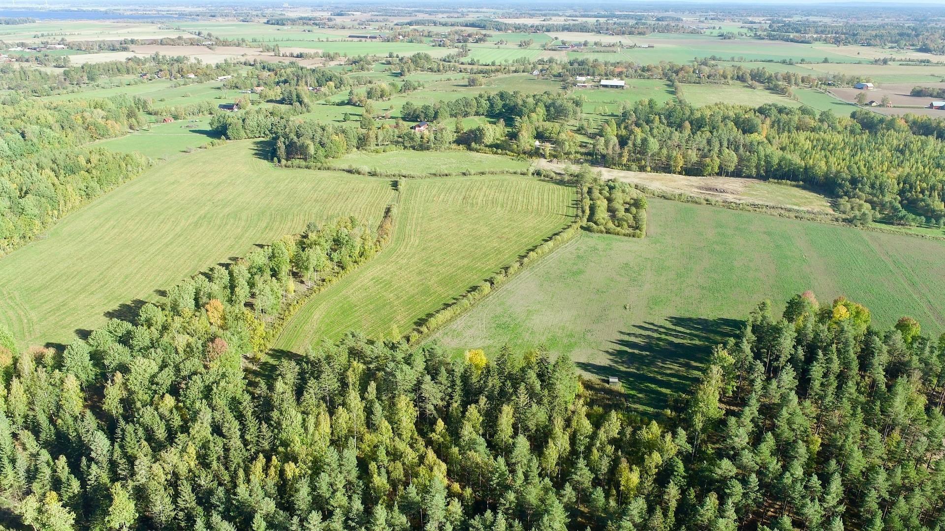 Gård med skogsbruk Binneberg Skövde kommun - bild 18