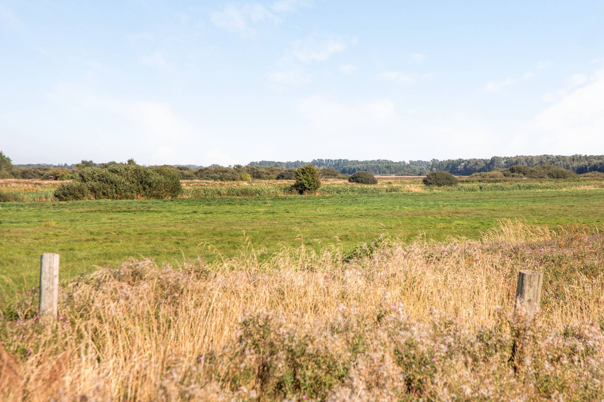 3 rum Villa på Sorkvägen 2 Ystad Norr Ystads kommun - bild 25