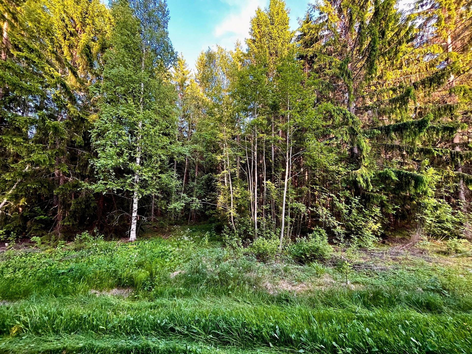 Gård utan jordbruk på Långsbyn Bergsveden 465 Bergsveden Hedemora kommun - bild 29