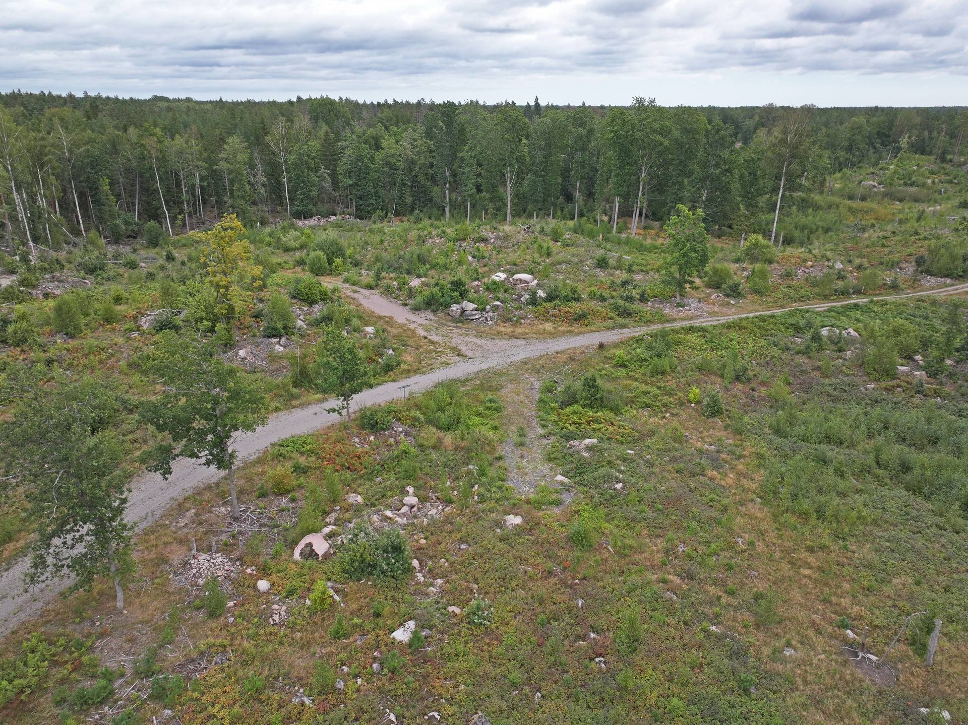 Gård/skog på Fliseryds-Boda Skog AB Mönsterås kommun - bild 7