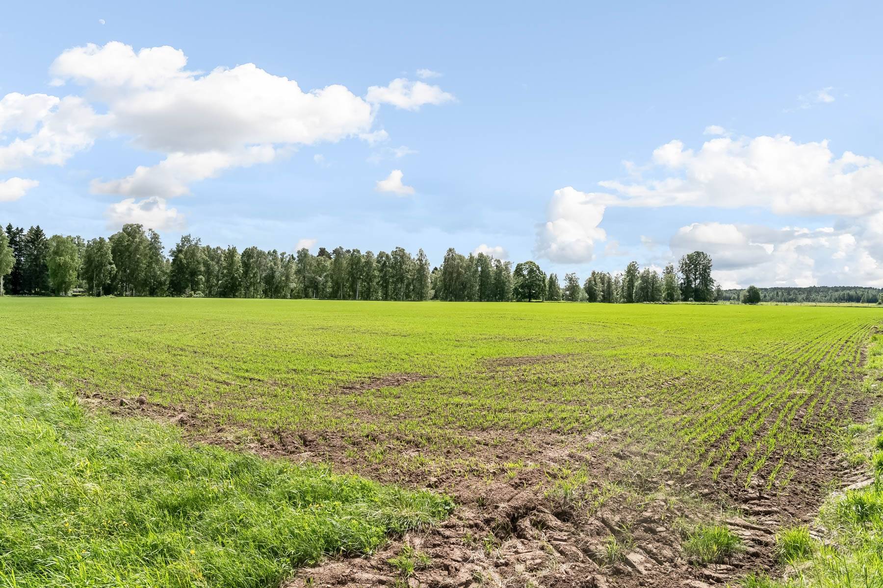 Gård med jordbruk på Lindan 106 Borlänge kommun - bild 33