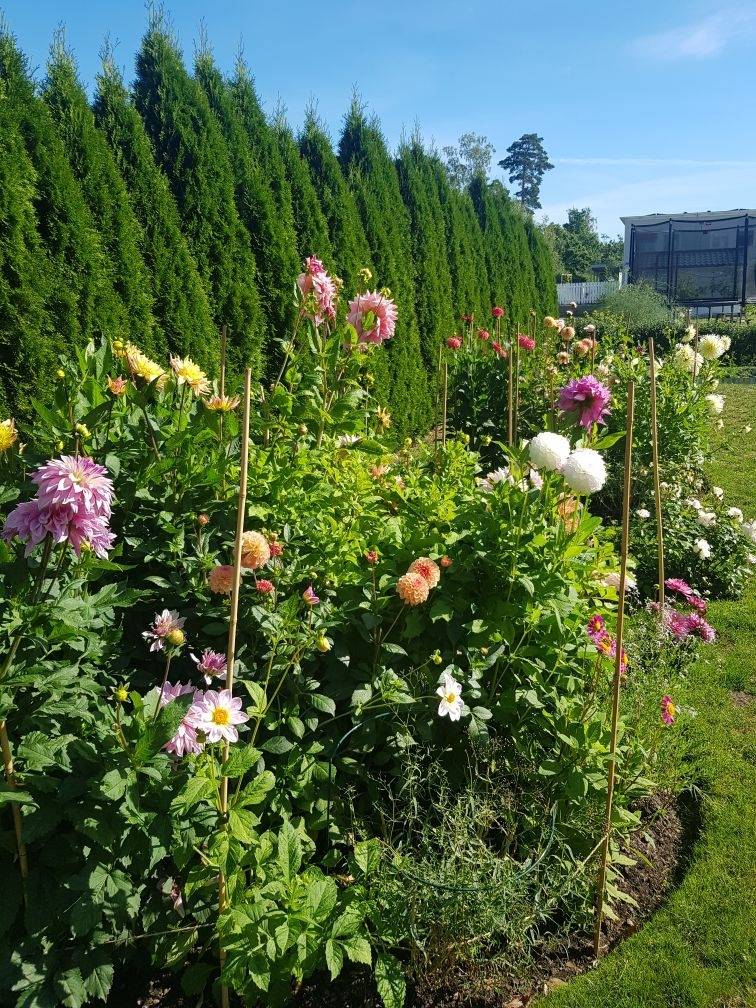 6 rum Villa på Mångfaldsvägen 6 Ljusstaden Kalmar kommun - bild 34