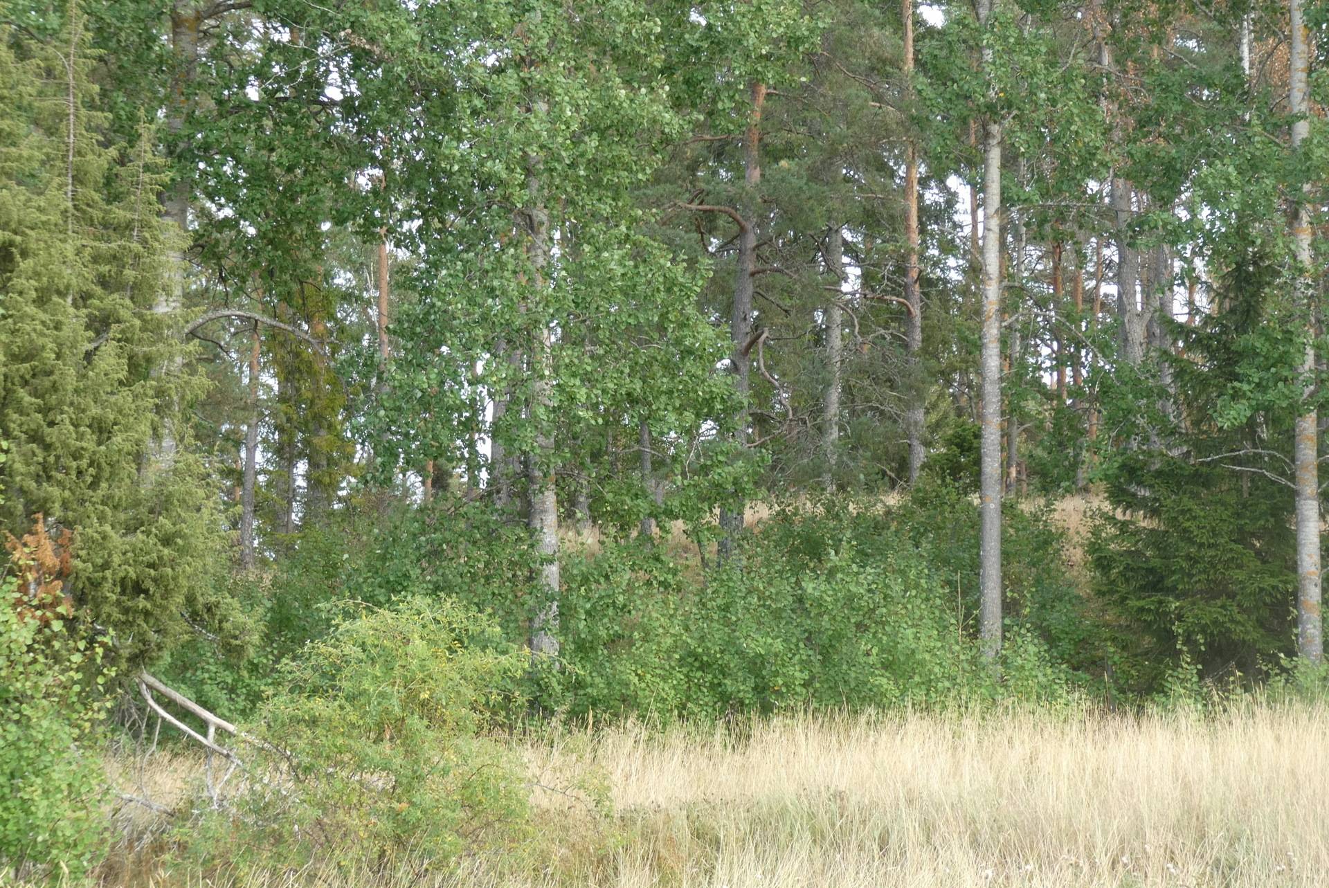 Gård med jordbruk på Storbol 376 Vidbo Sigtuna kommun - bild 57