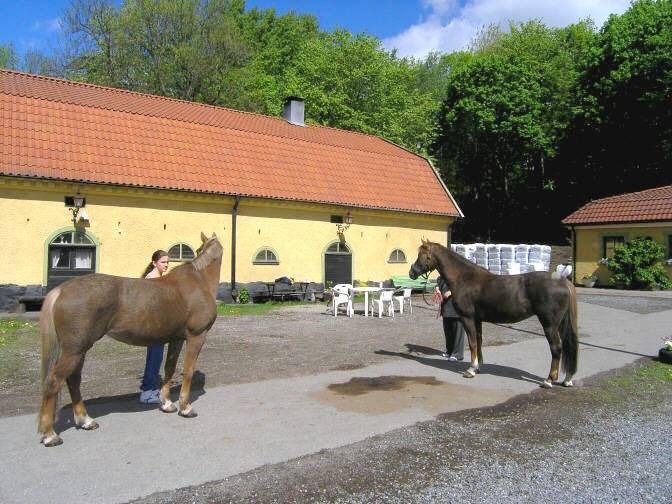 2 rum Lägenhet på Armégatan 8 Västra Skogen Solna kommun - bild 38