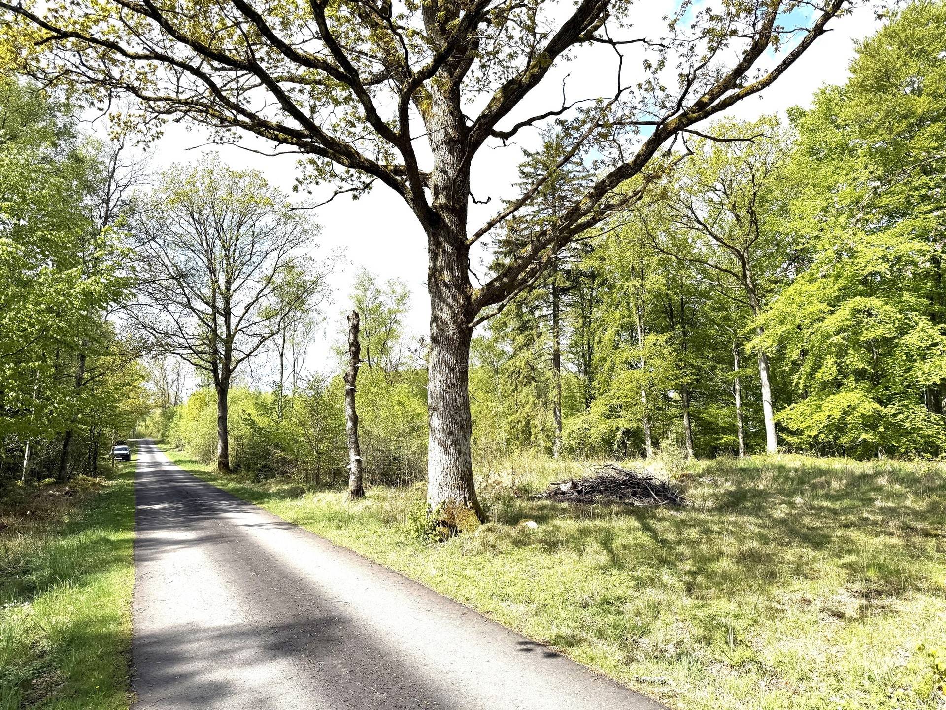 Tomt på Öringe 9:28 Laholms kommun - bild 3
