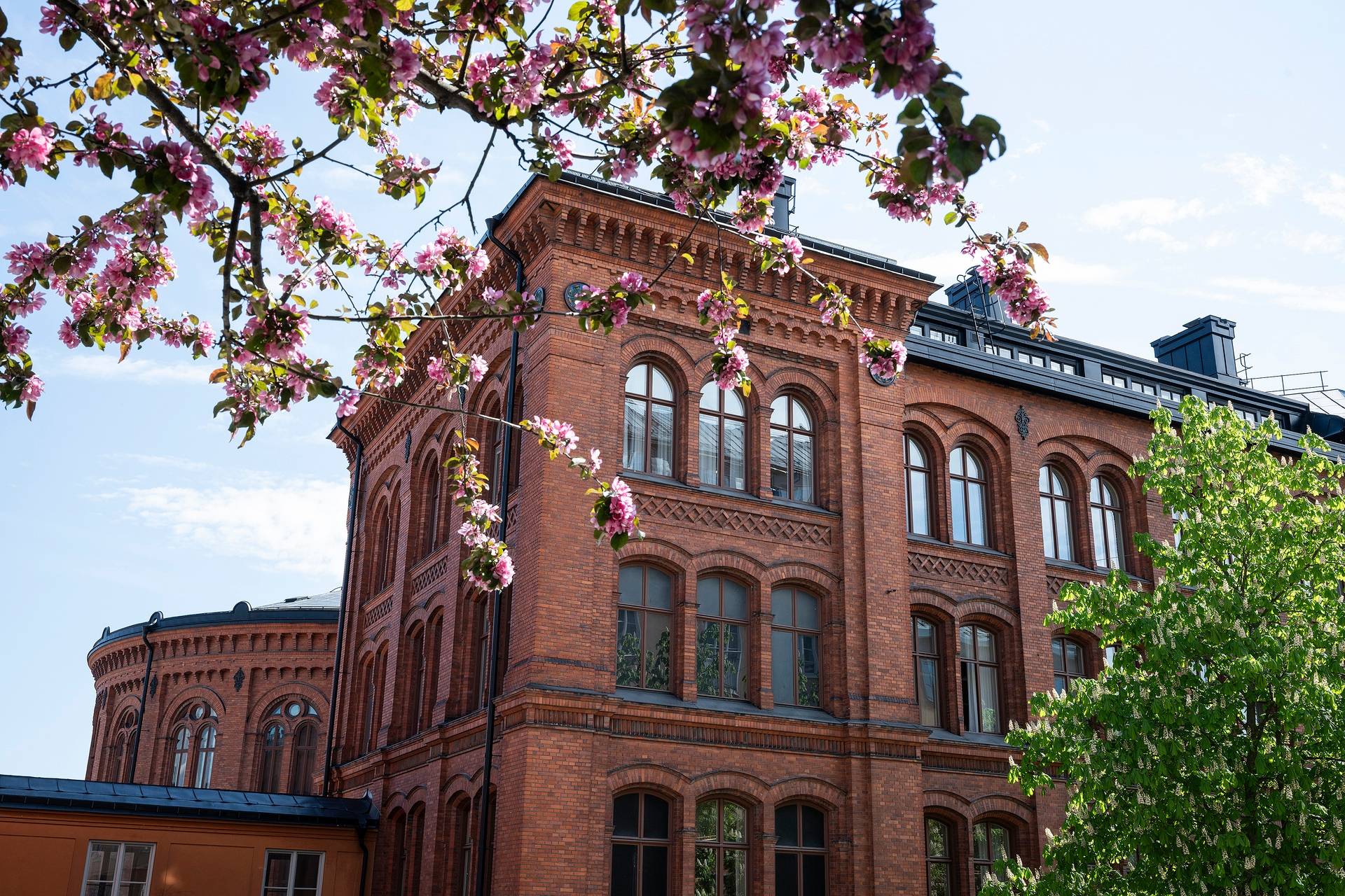 3 rum Lägenhet på Kvarngatan 20 Södermalm Stockholms kommun - bild 39