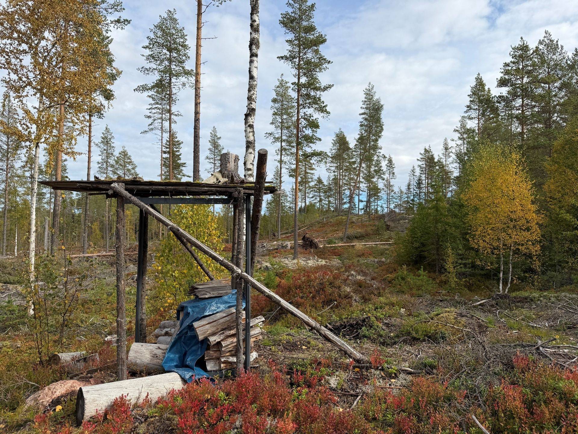 Gård/skog på Limbäck 89:3 Våmhus Mora kommun - bild 26