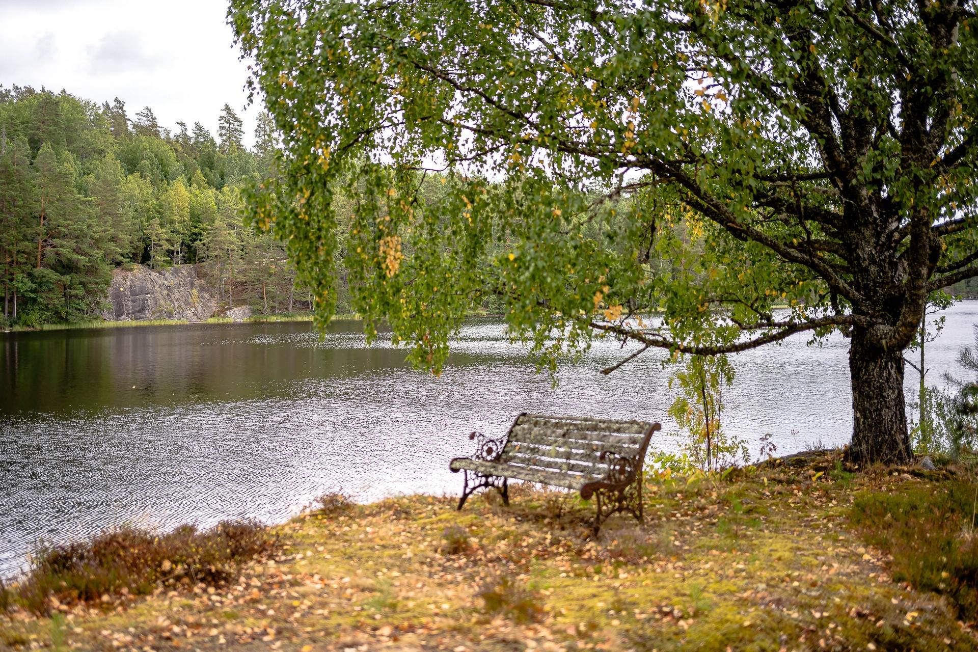 2 rum Villa på Holmsjön 4 och 6 Hälleforsnäs Flens kommun - bild 24