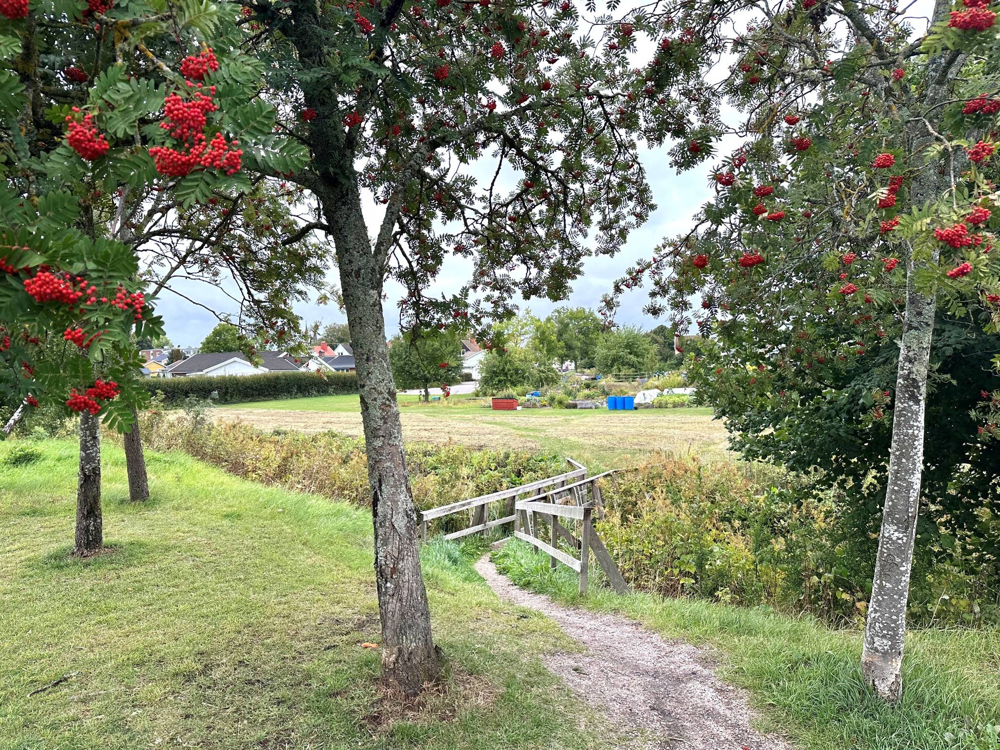 1 rum Lägenhet på Djurgårdsvägen 13 F Bågen Skara kommun - bild 27