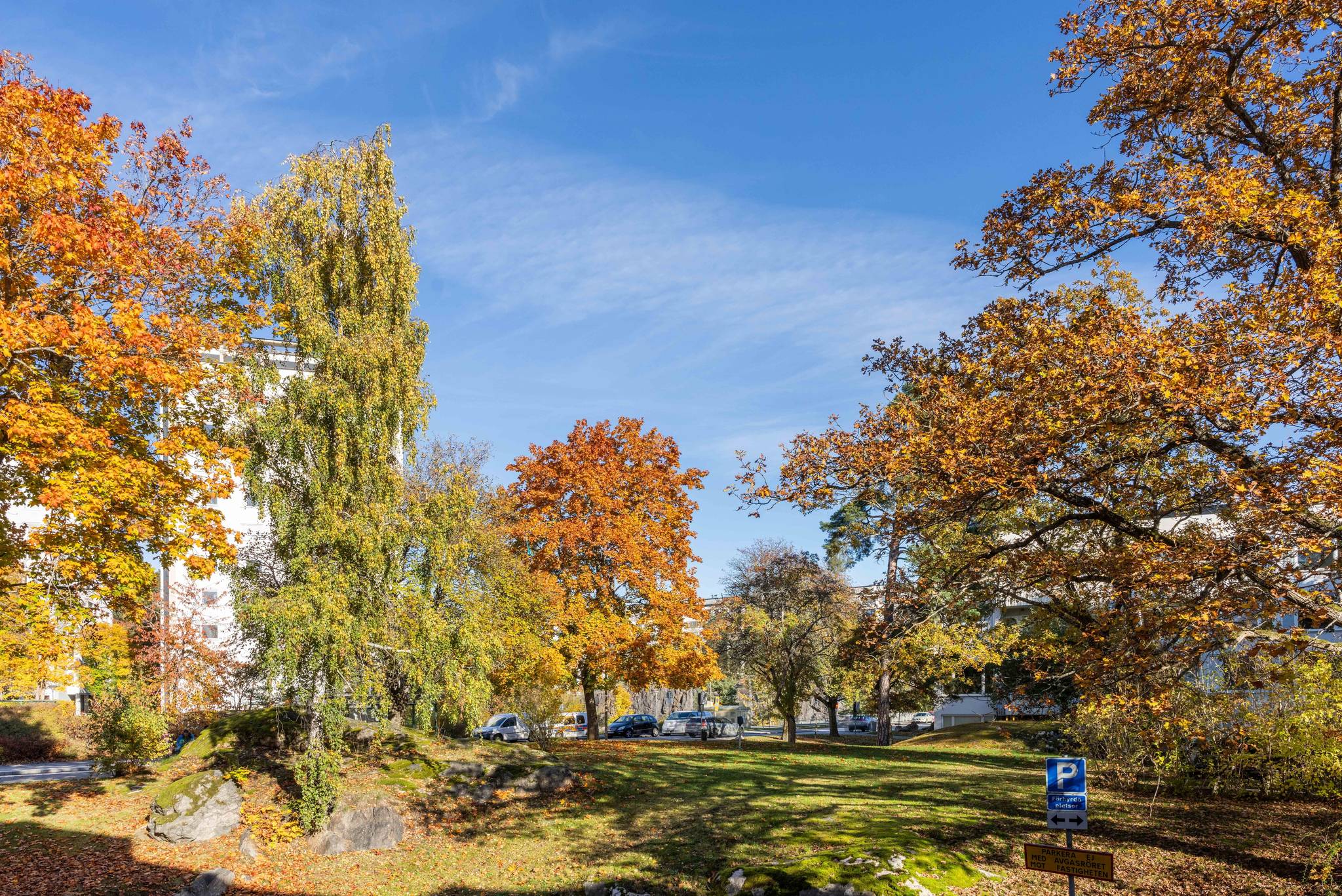 1 rum Lägenhet på Olshammarsgatan 81 ormkärr Stockholms kommun - bild 27