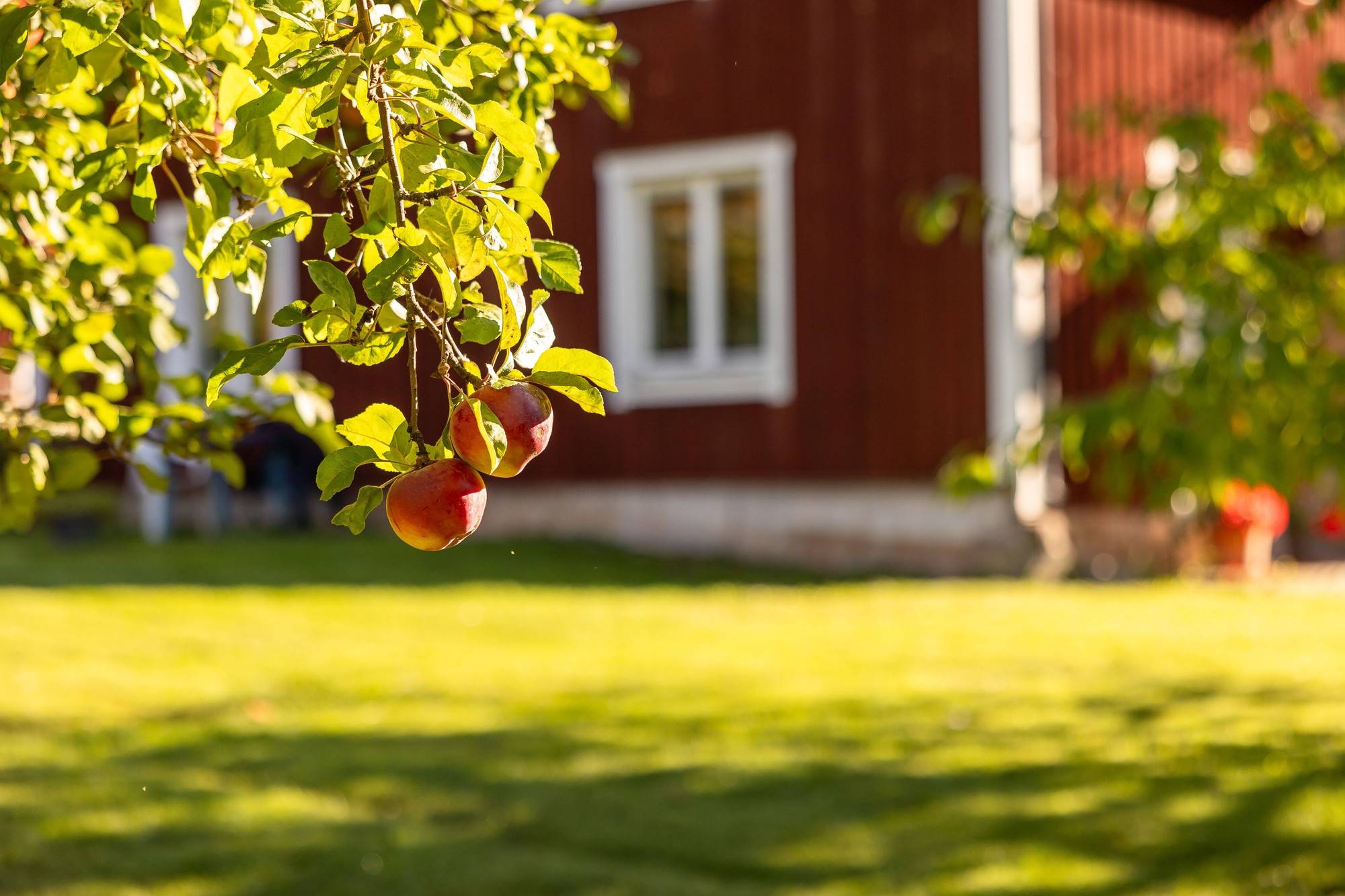 6 rum Gård/skog på Rickeby 21 Knutby Uppsala kommun - bild 21