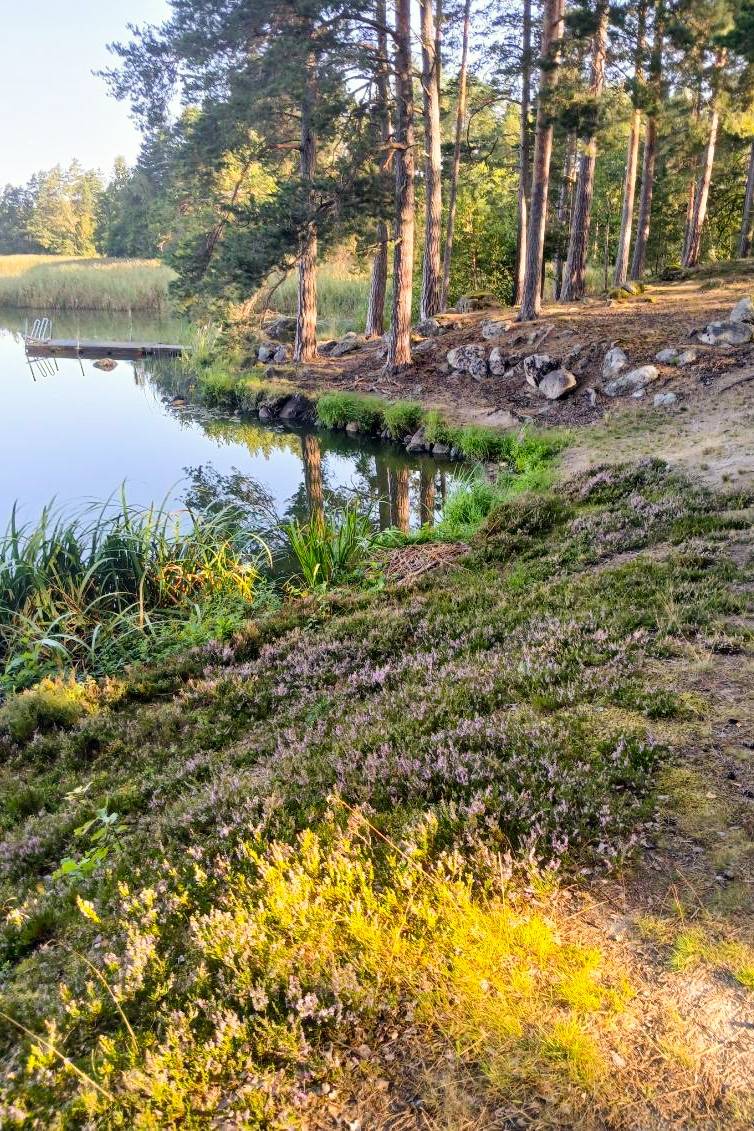6 rum Gård utan jordbruk på Valltrand 2 Österåker Vingåkers kommun - bild 50