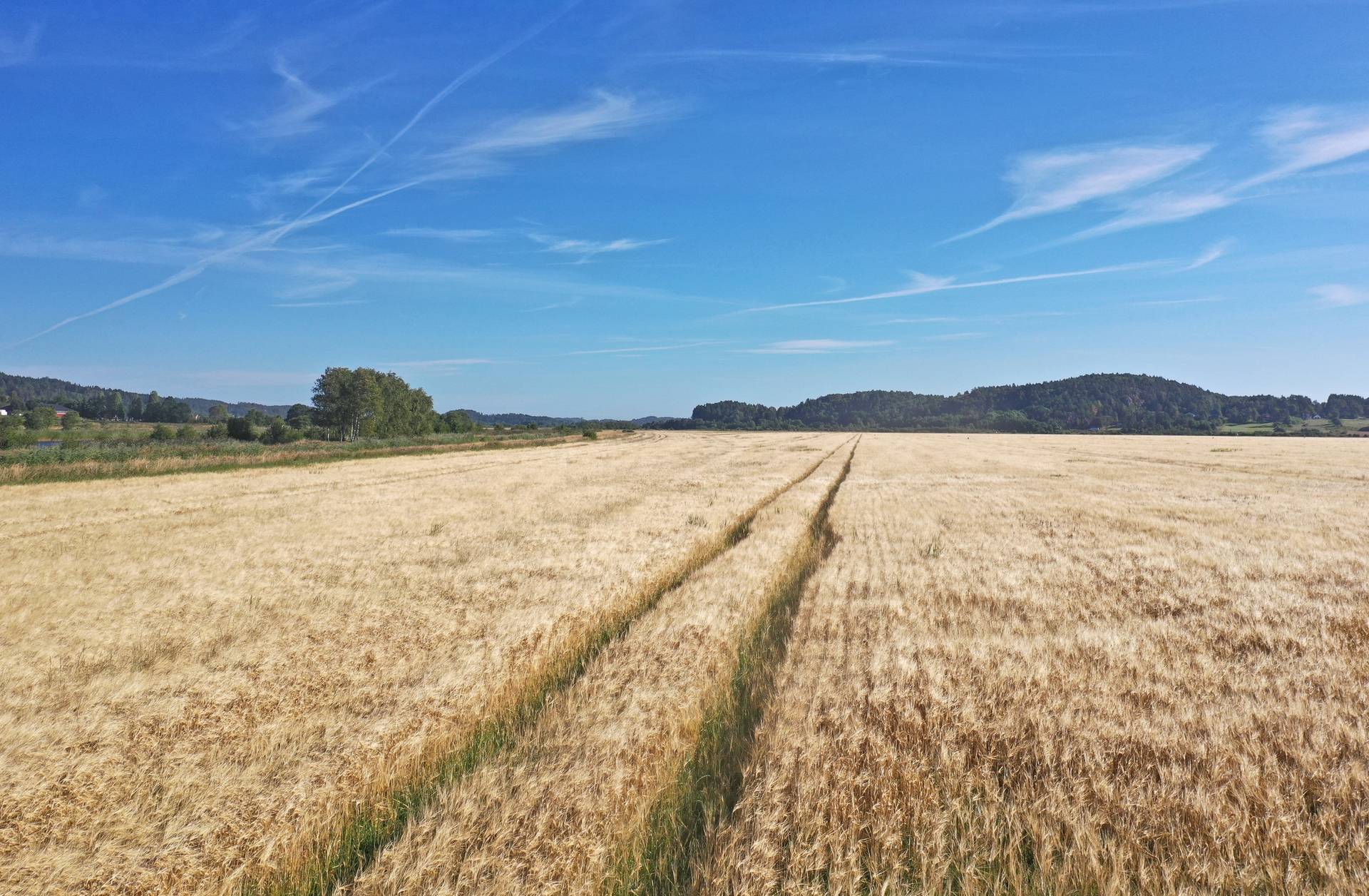 Gård med jordbruk på Tjurholmen Kungälvs kommun - bild 6